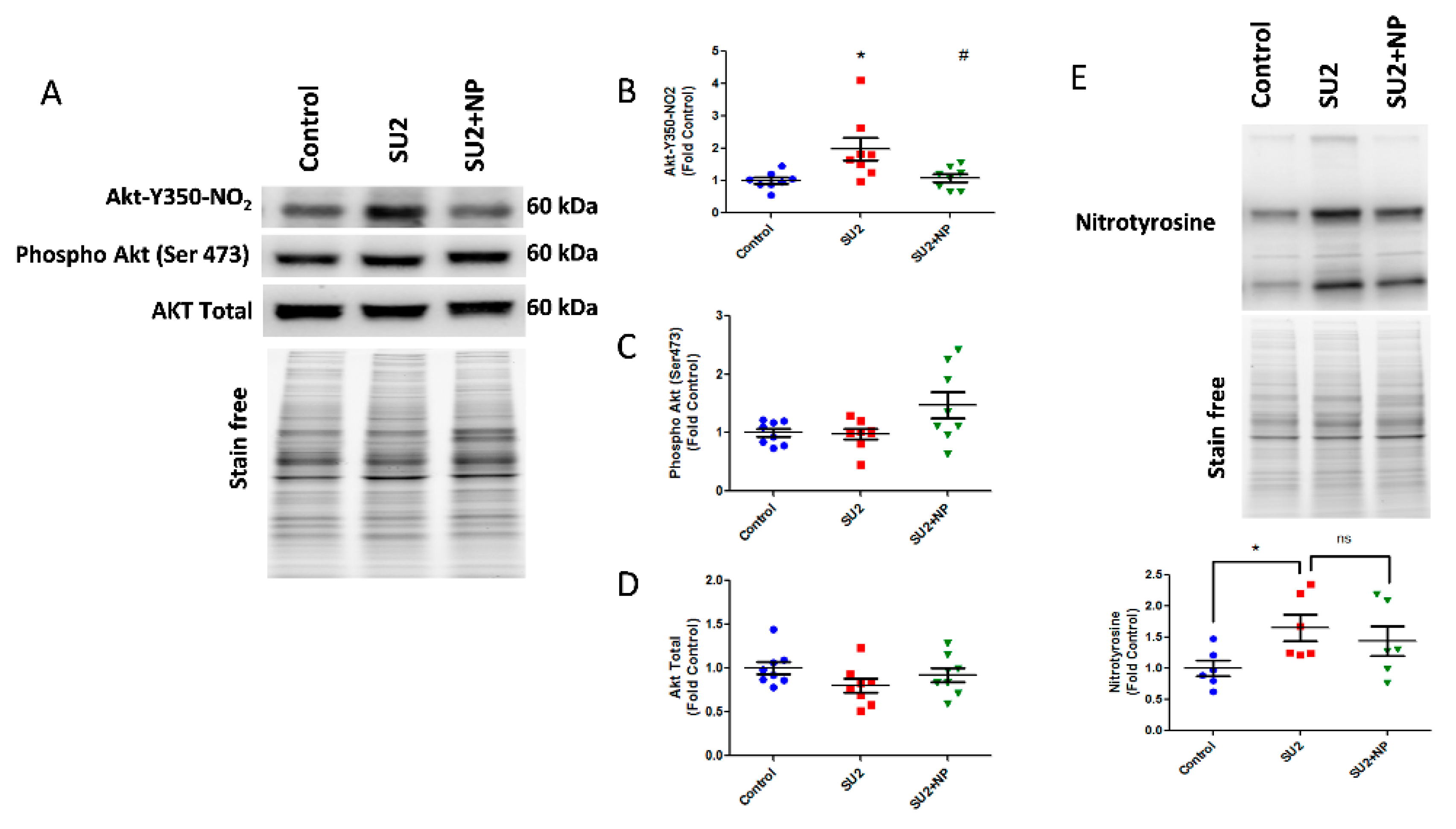 Antioxidants 09 00104 g003