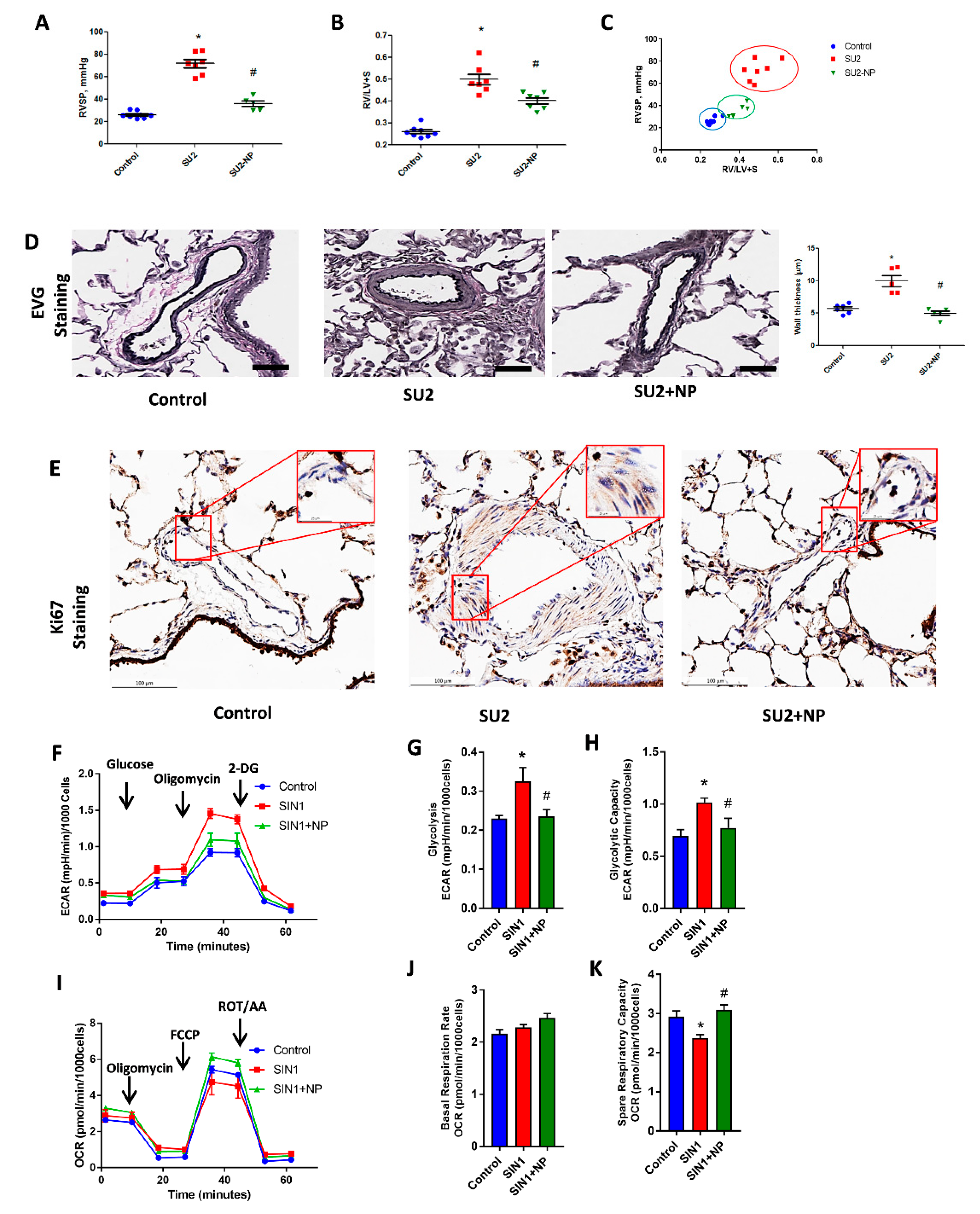 Antioxidants 09 00104 g004