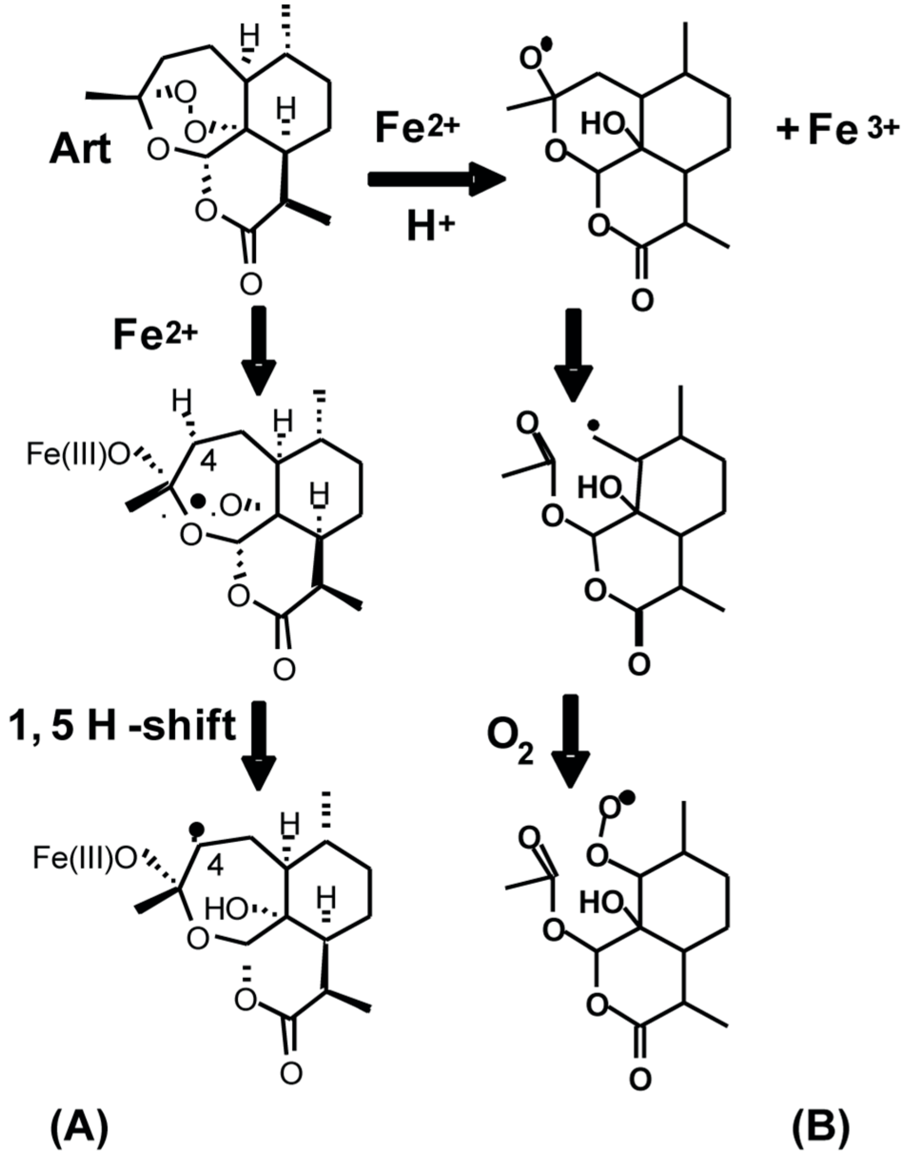 Antioxidants 09 00108 g010