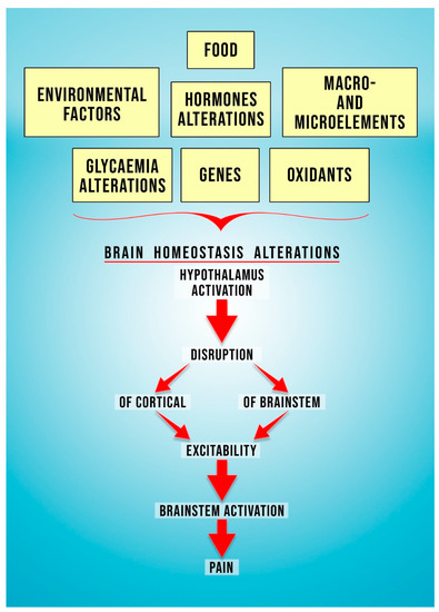 Antioxidants Free Full Text The Use Of Antioxidants In The Treatment Of Migraine Html