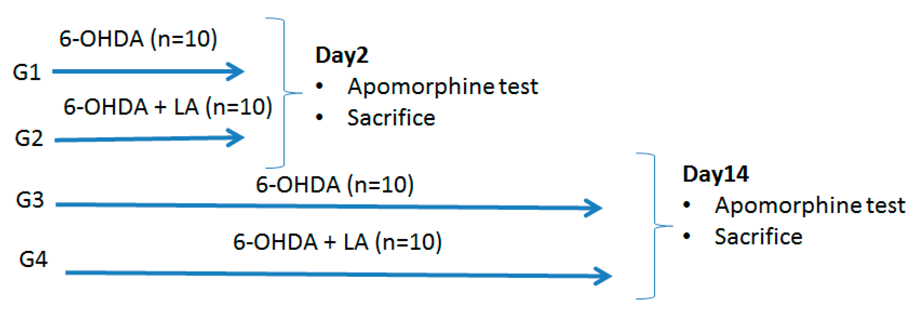 Antioxidants 09 00122 g001