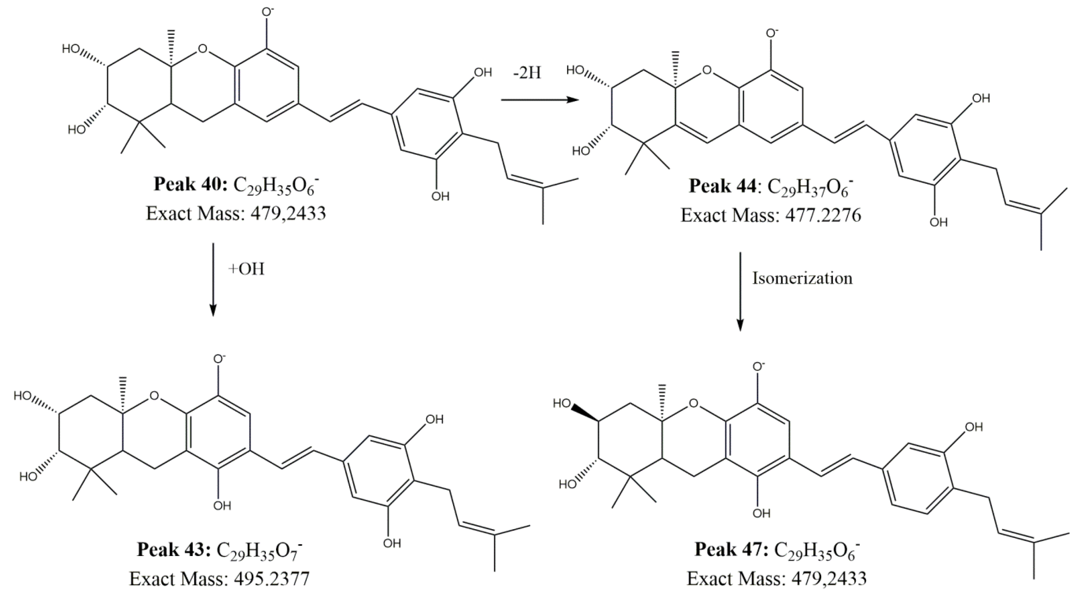 Antioxidants 09 00123 g002 Antioxidants 09 00123 g002