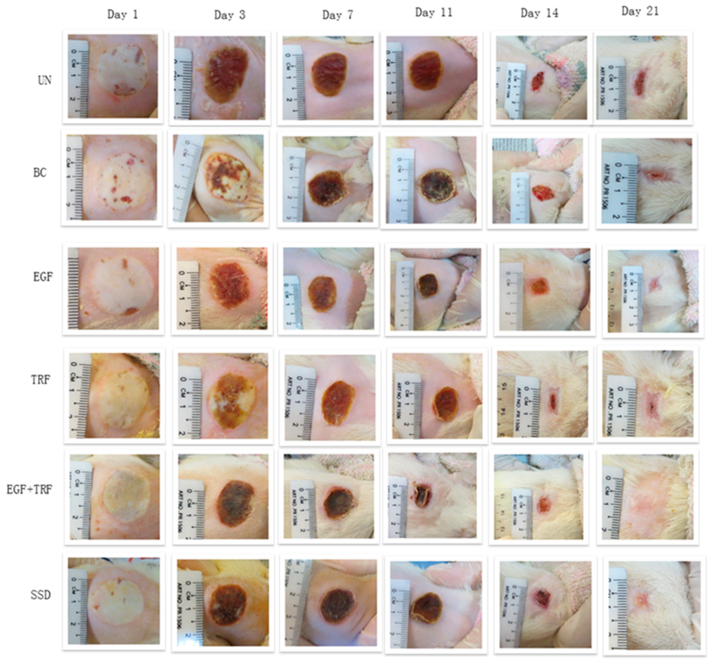 Antioxidants 09 00130 g001