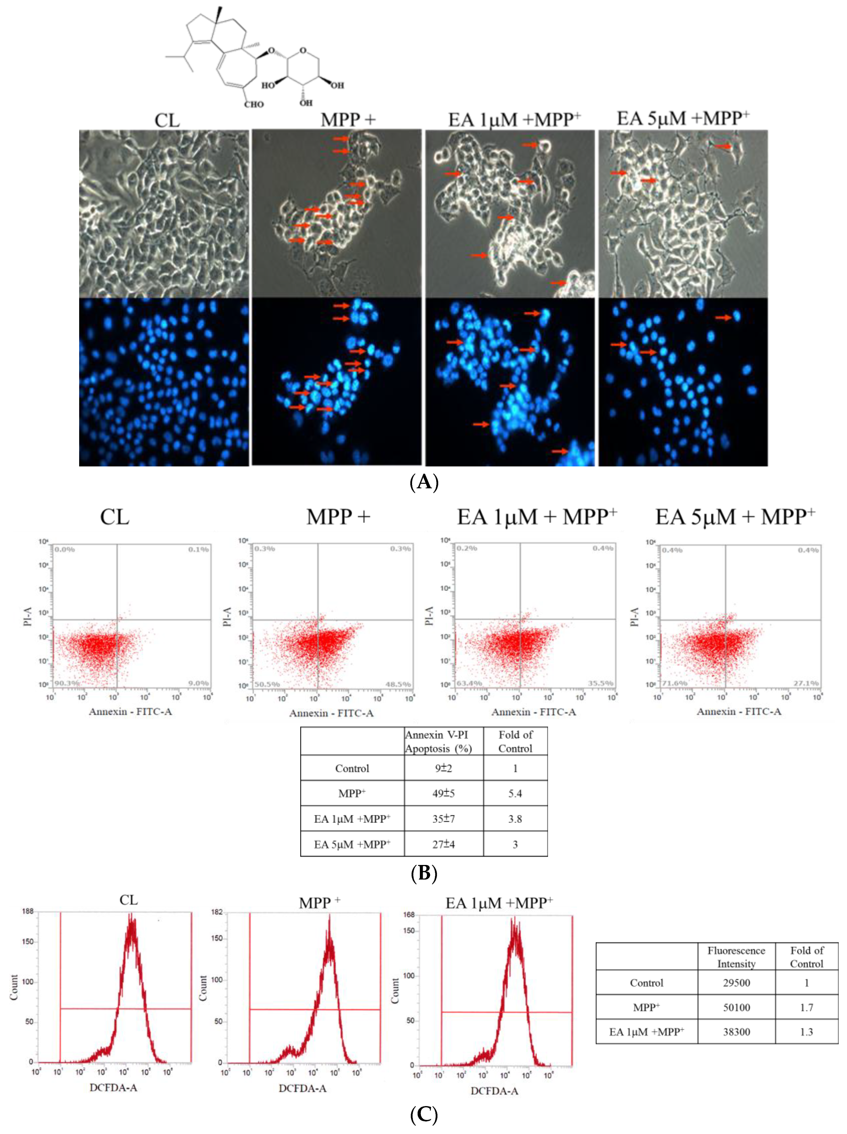 Antioxidants 09 00137 g002 Antioxidants 09 00137 g002