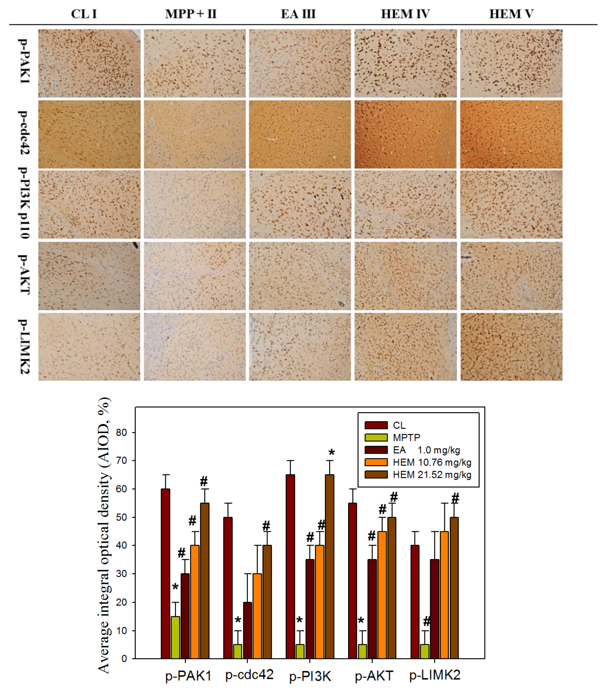 Antioxidants 09 00137 g007 Antioxidants 09 00137 g007