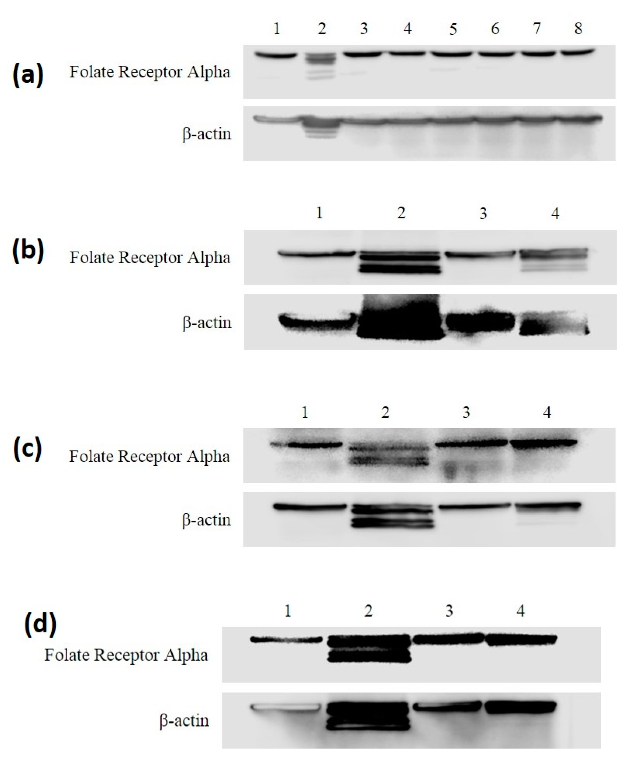 Antioxidants 09 00138 g004 Antioxidants 09 00138 g004