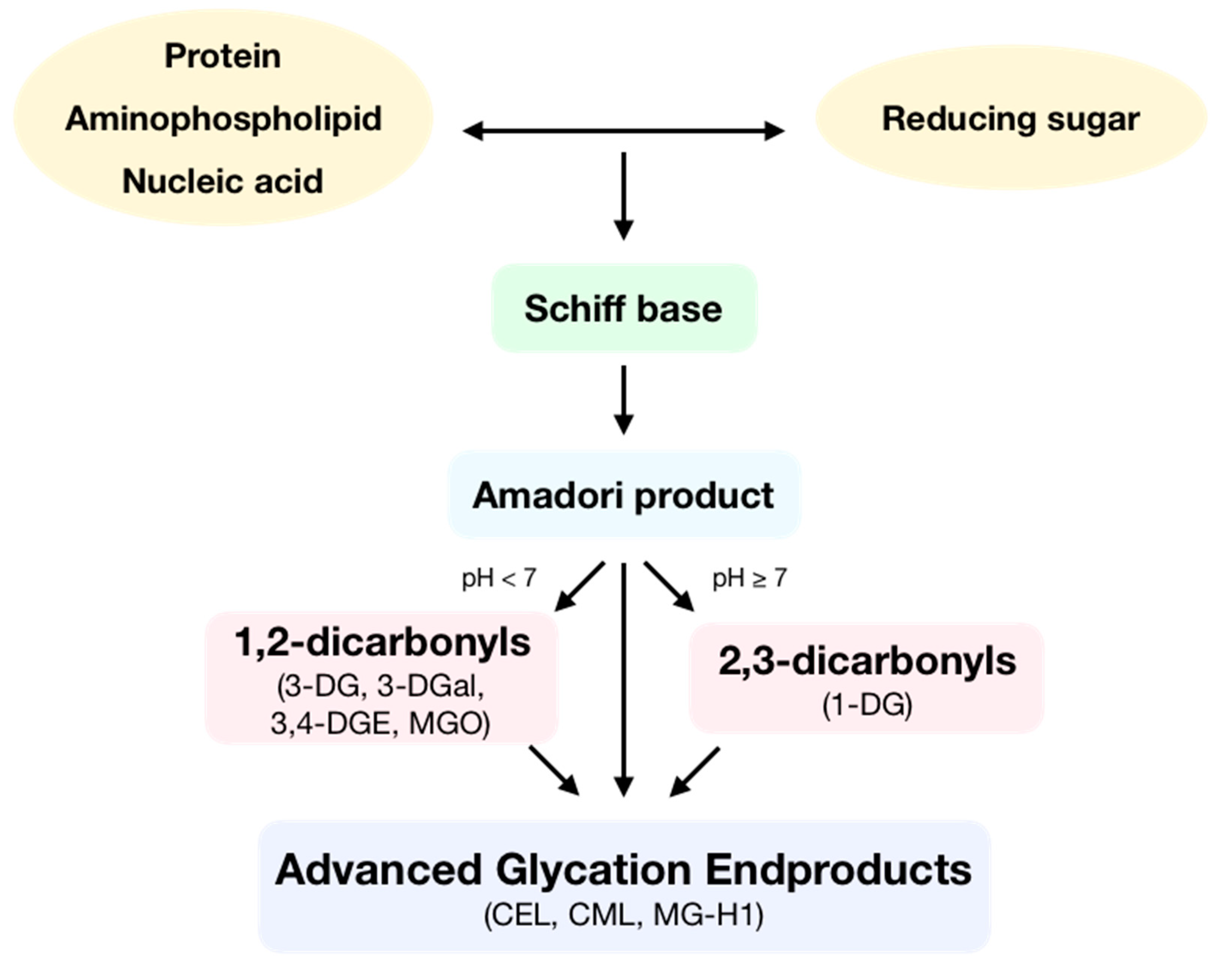 Antioxidants | Free Full-Text | Redox Signaling and ...