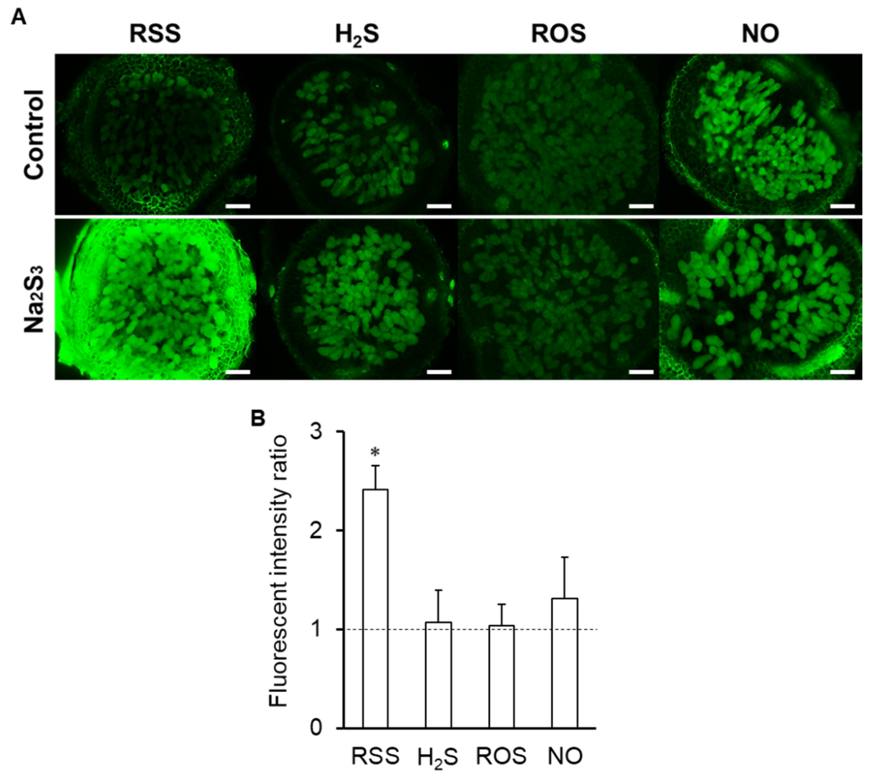Antioxidants 09 00145 g007 Antioxidants 09 00145 g007