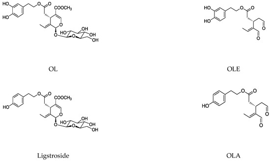 Antioxidants Free Full Text Potential Protective Role Exerted By Secoiridoids From Olea Europaea L In Cancer Cardiovascular Neurodegenerative Aging Related And Immunoinflammatory Diseases Html