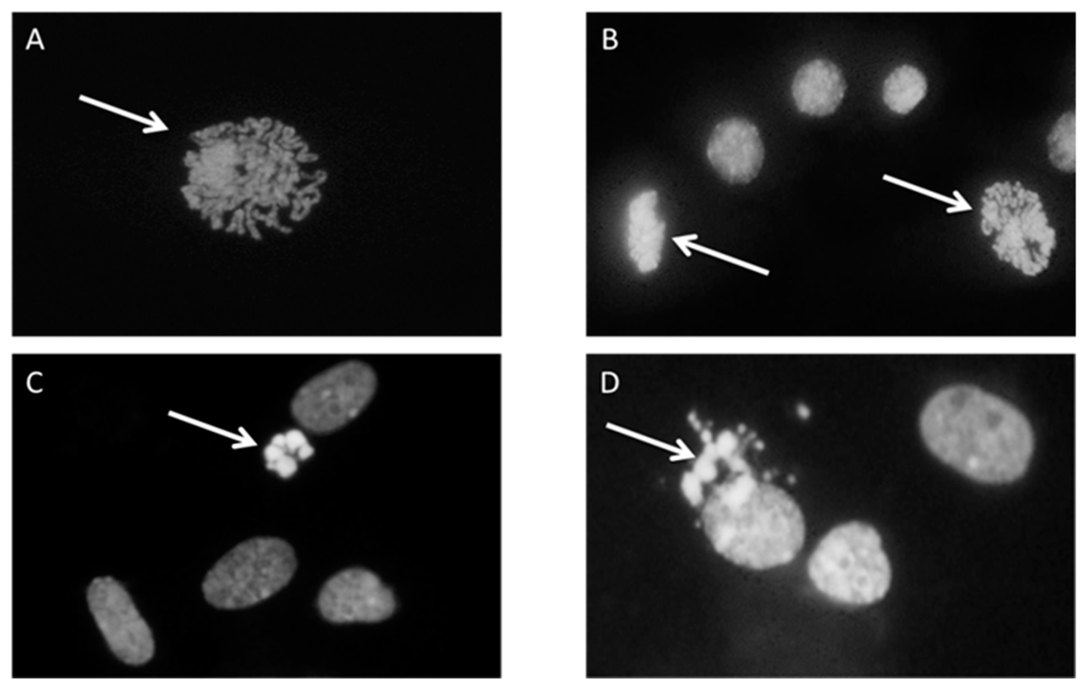 Antioxidants 09 00150 g001