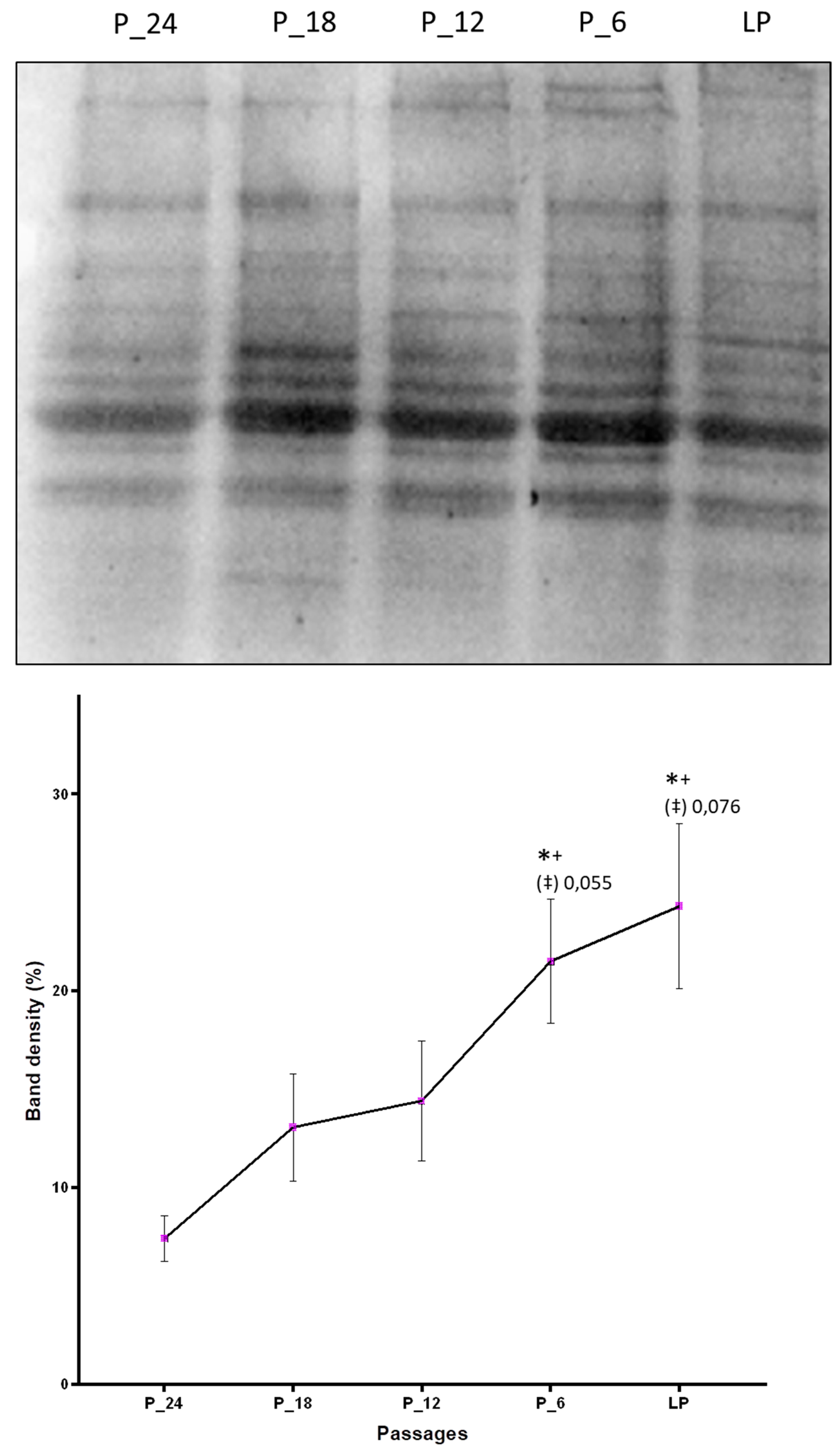 Antioxidants 09 00150 g003