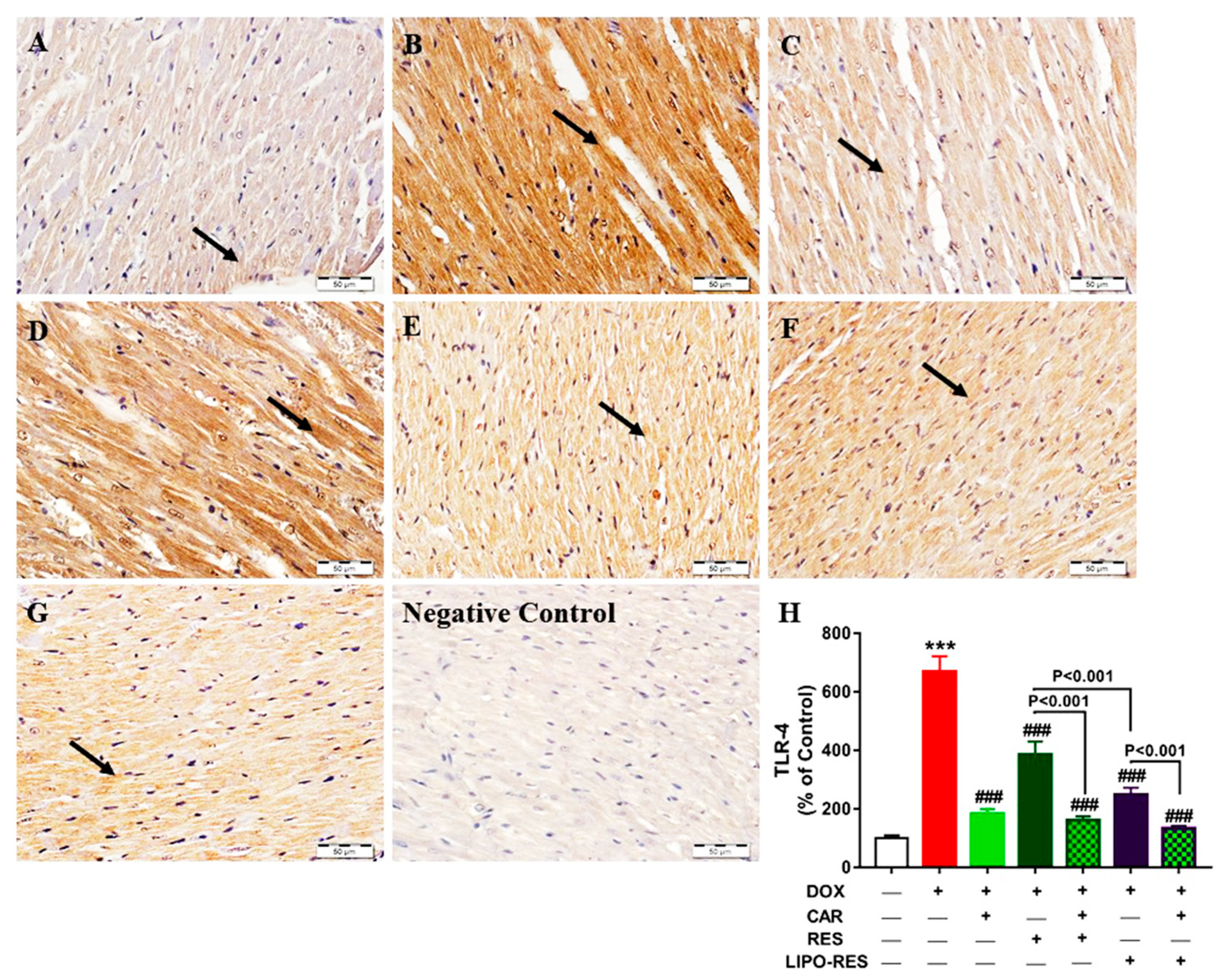 Antioxidants 09 00159 g003