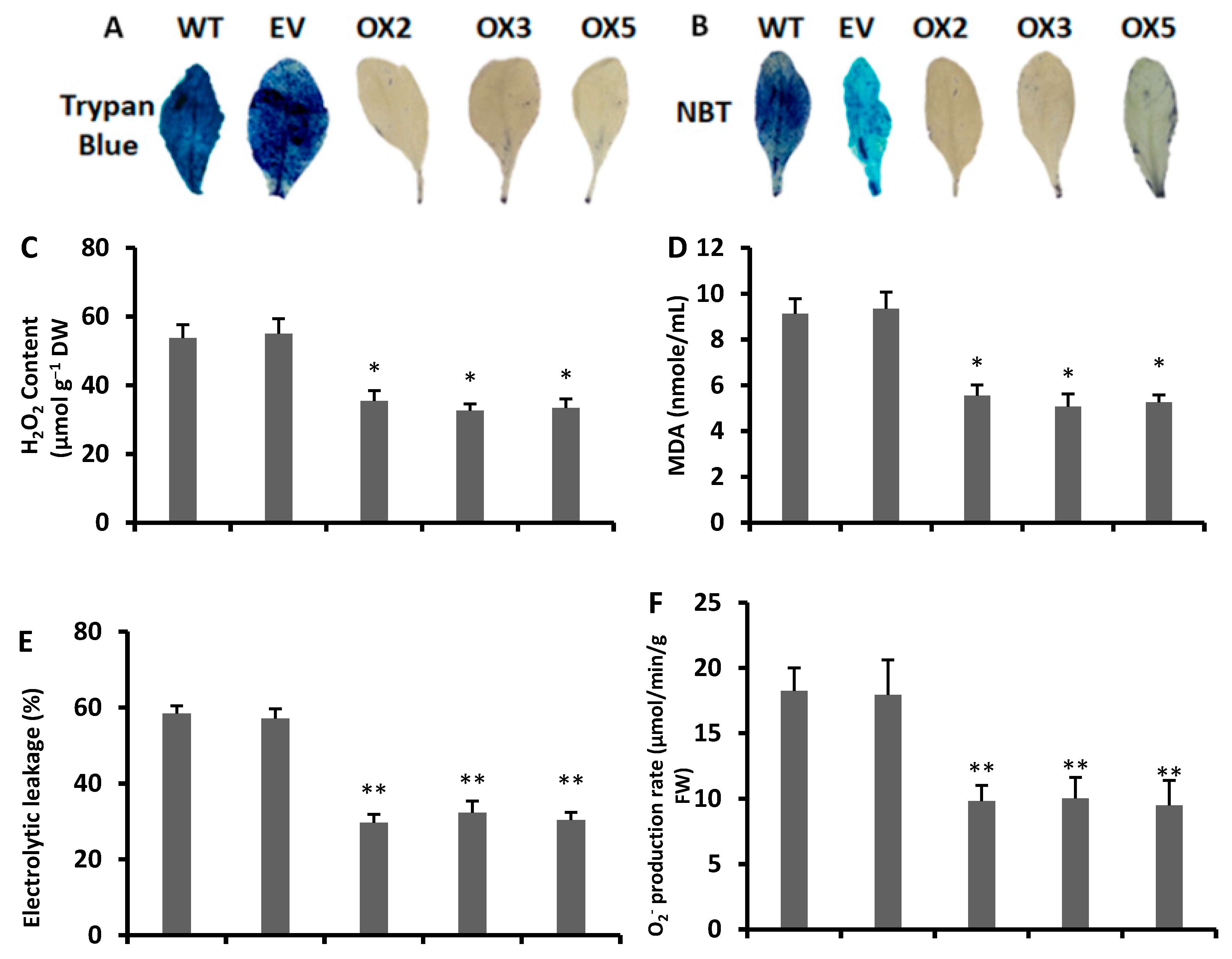 Antioxidants 09 00161 g007a