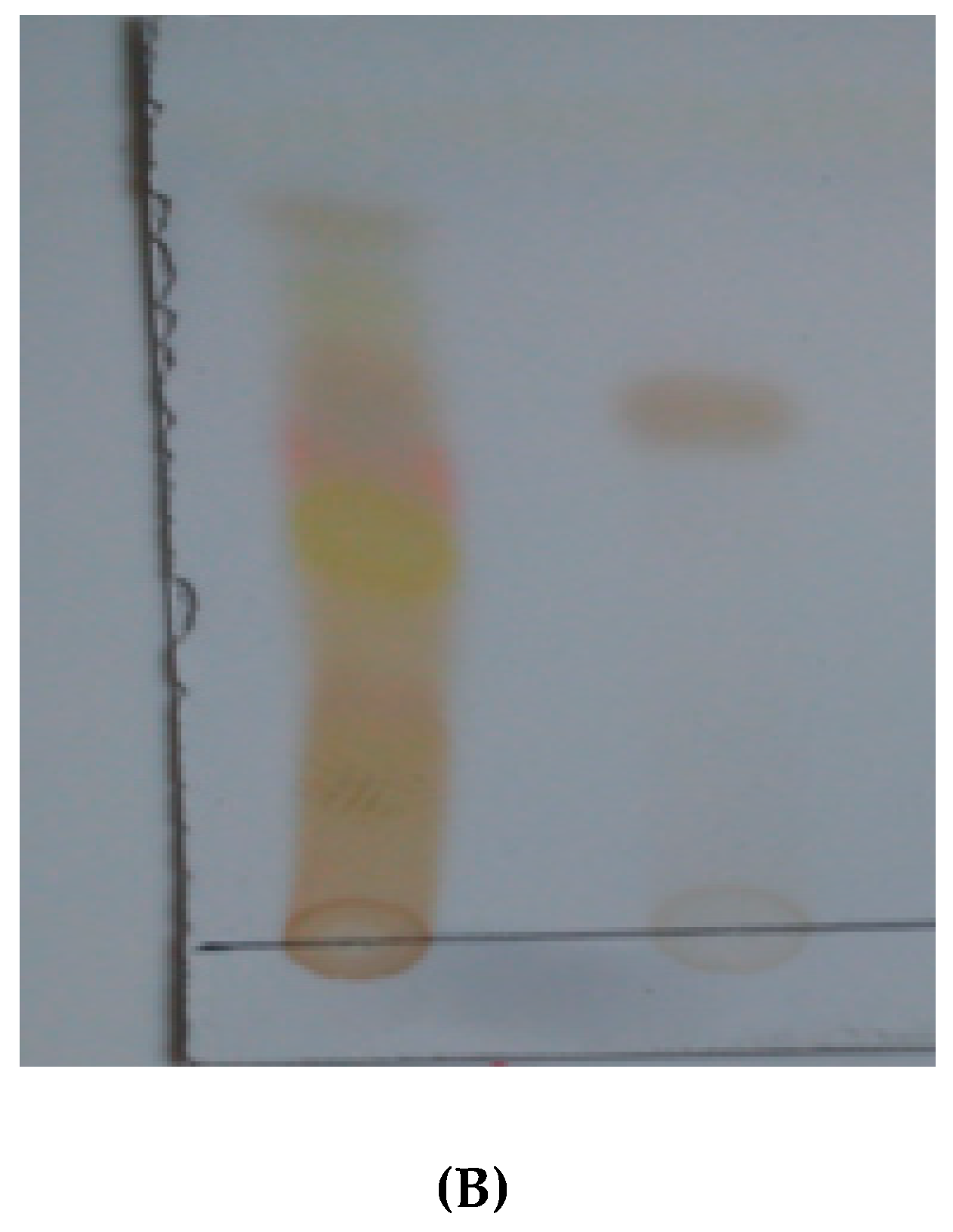 Antioxidants 09 00173 g006b