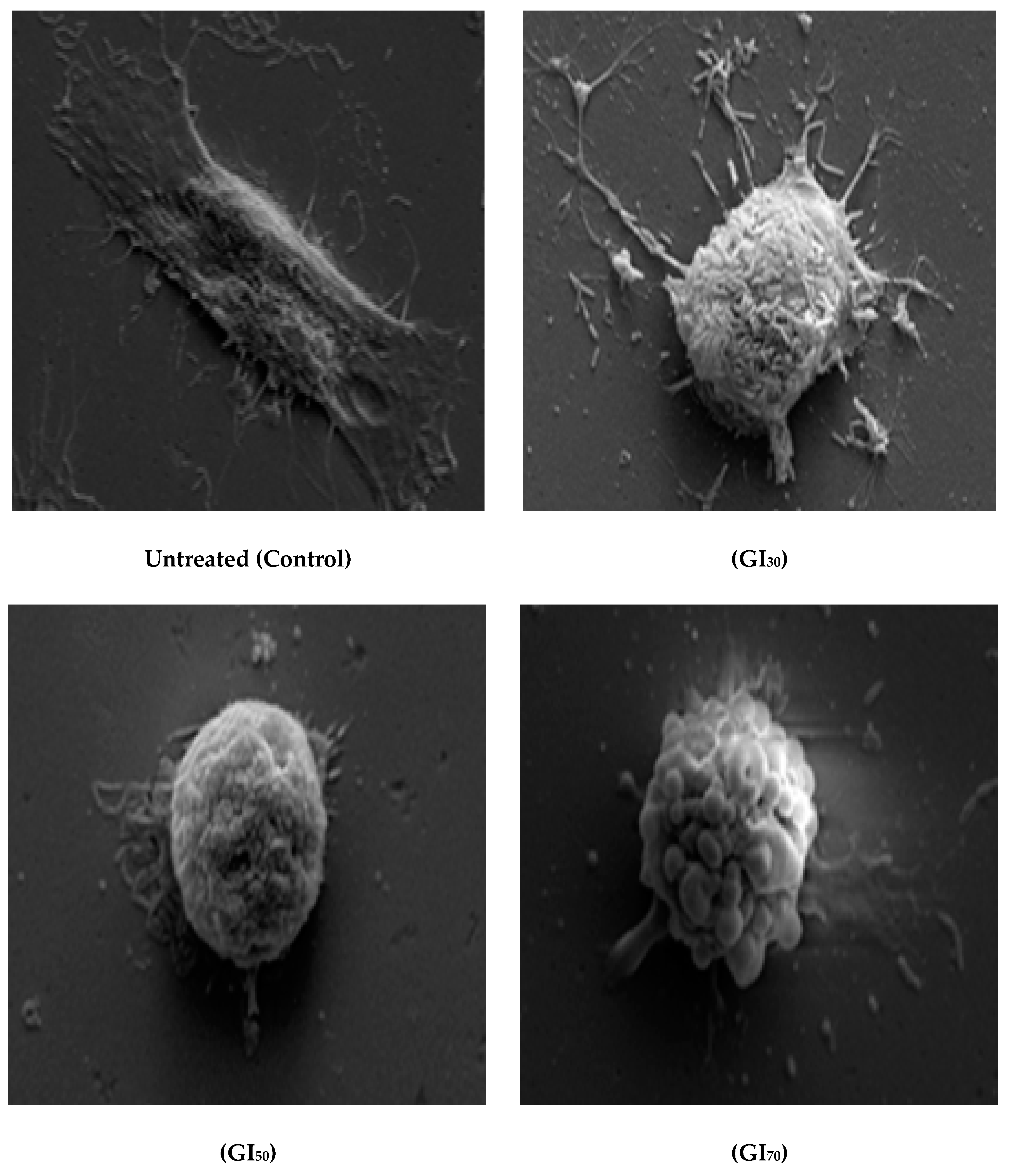Antioxidants 09 00173 g011