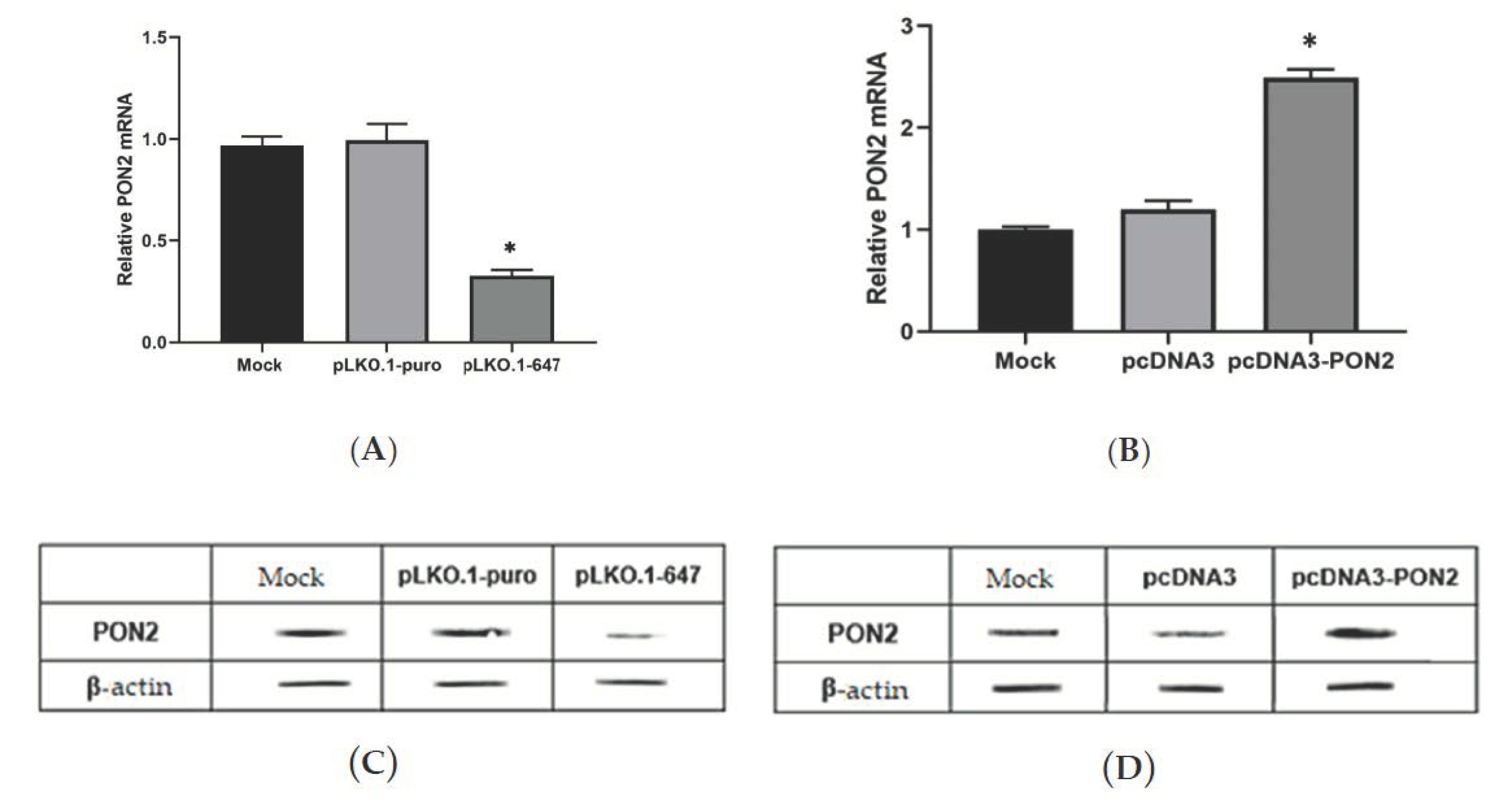 Antioxidants 09 00175 g001 Antioxidants 09 00175 g001