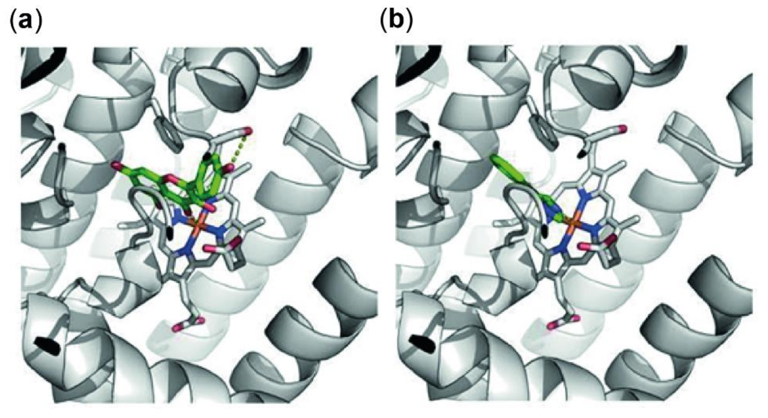 Antioxidants 09 00180 g005 Antioxidants 09 00180 g005