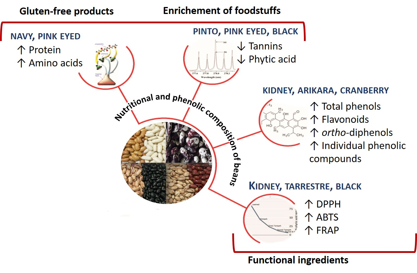 Antioxidants Free FullText Nutrients, Antinutrients, Phenolic