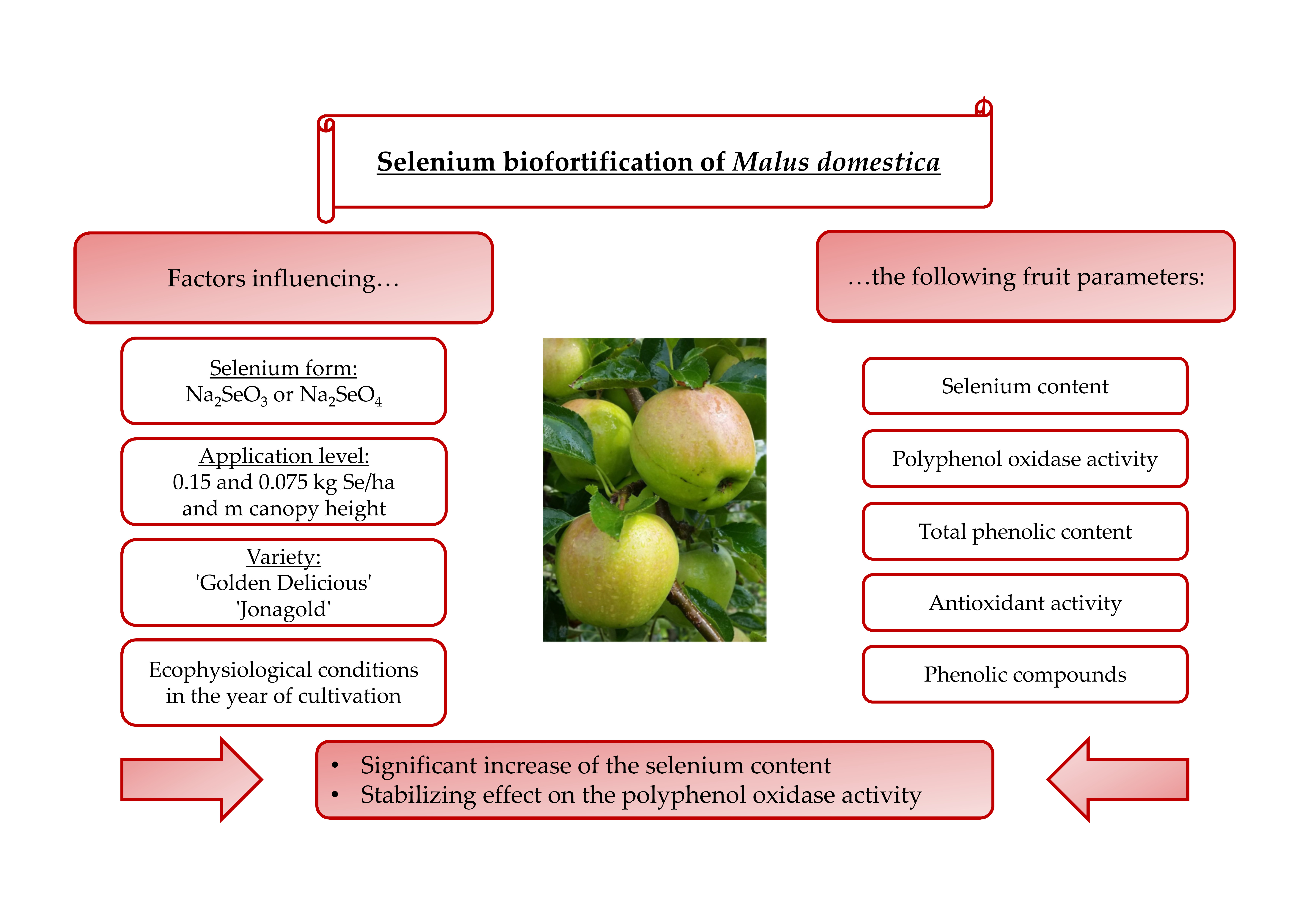 Antioxidants Free FullText Influence of a Selenium