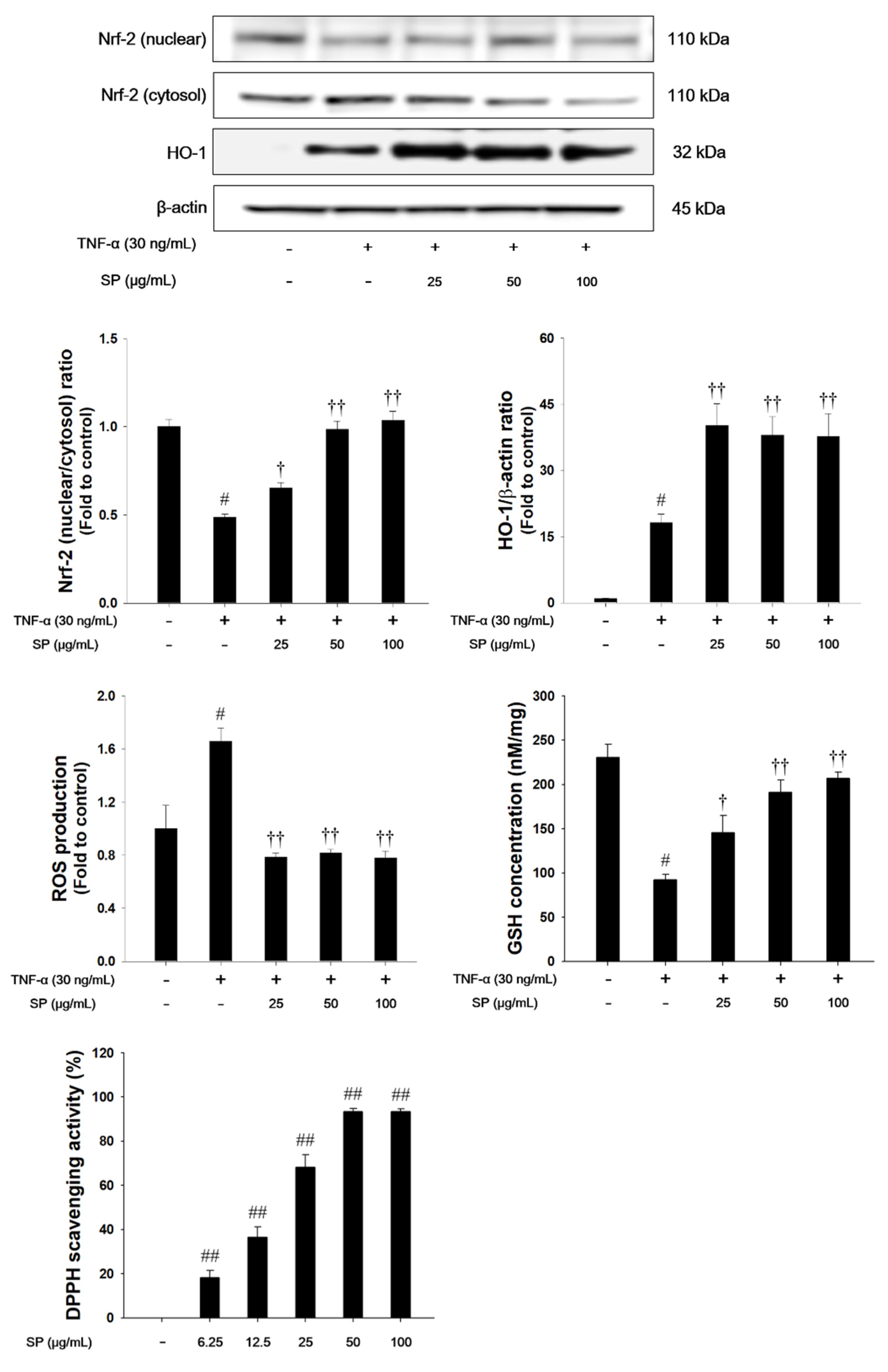 Antioxidants 09 00198 g008