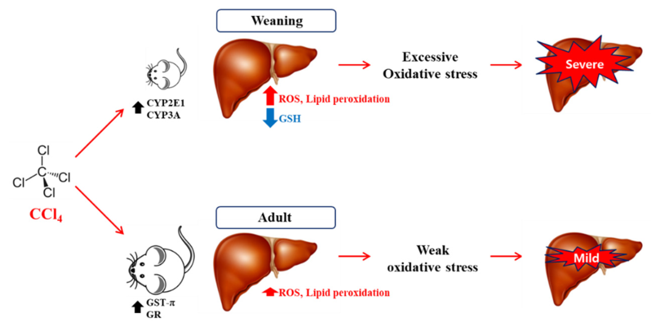 Antioxidants 09 00201 g008