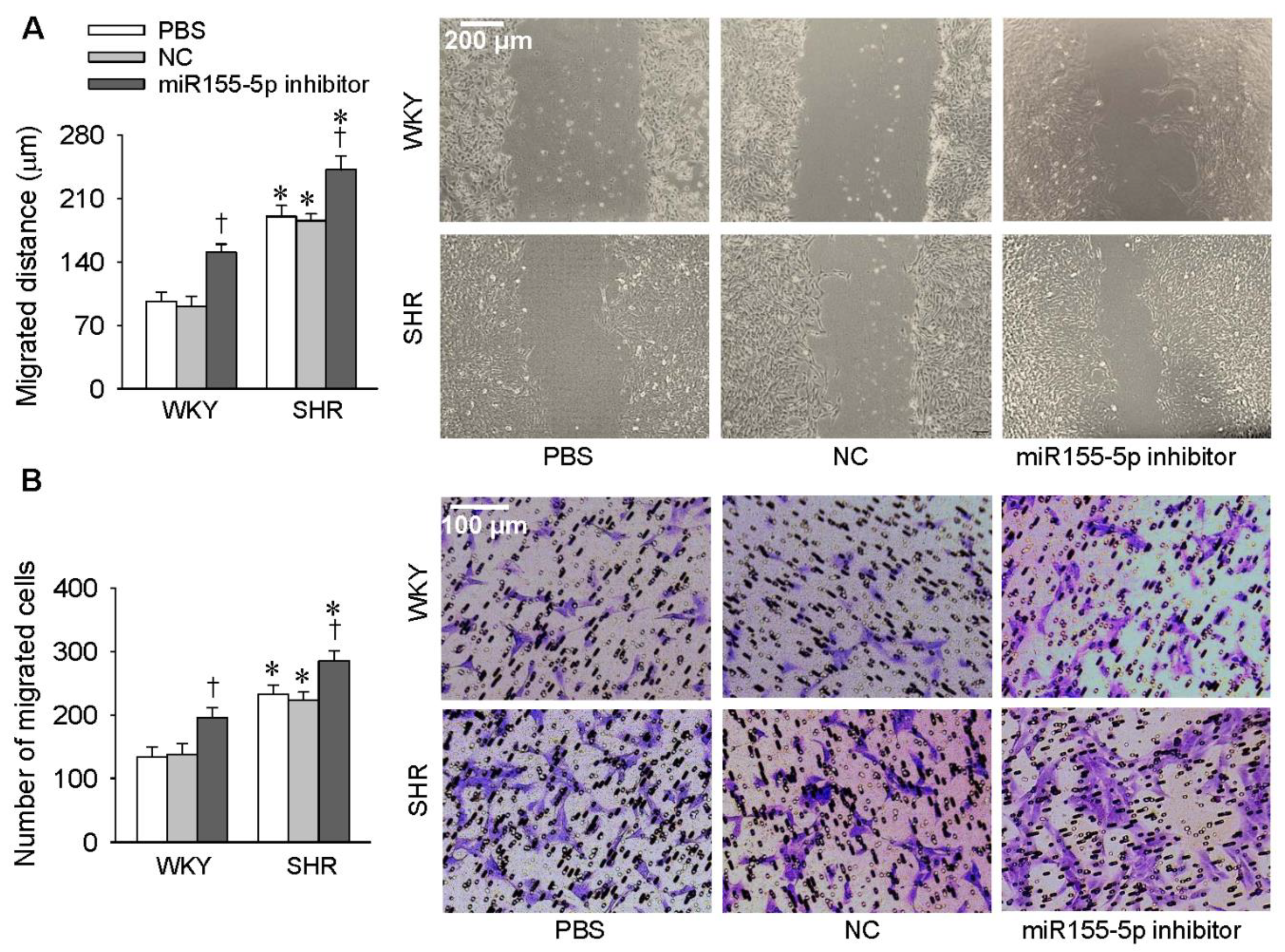Antioxidants 09 00204 g002 Antioxidants 09 00204 g002
