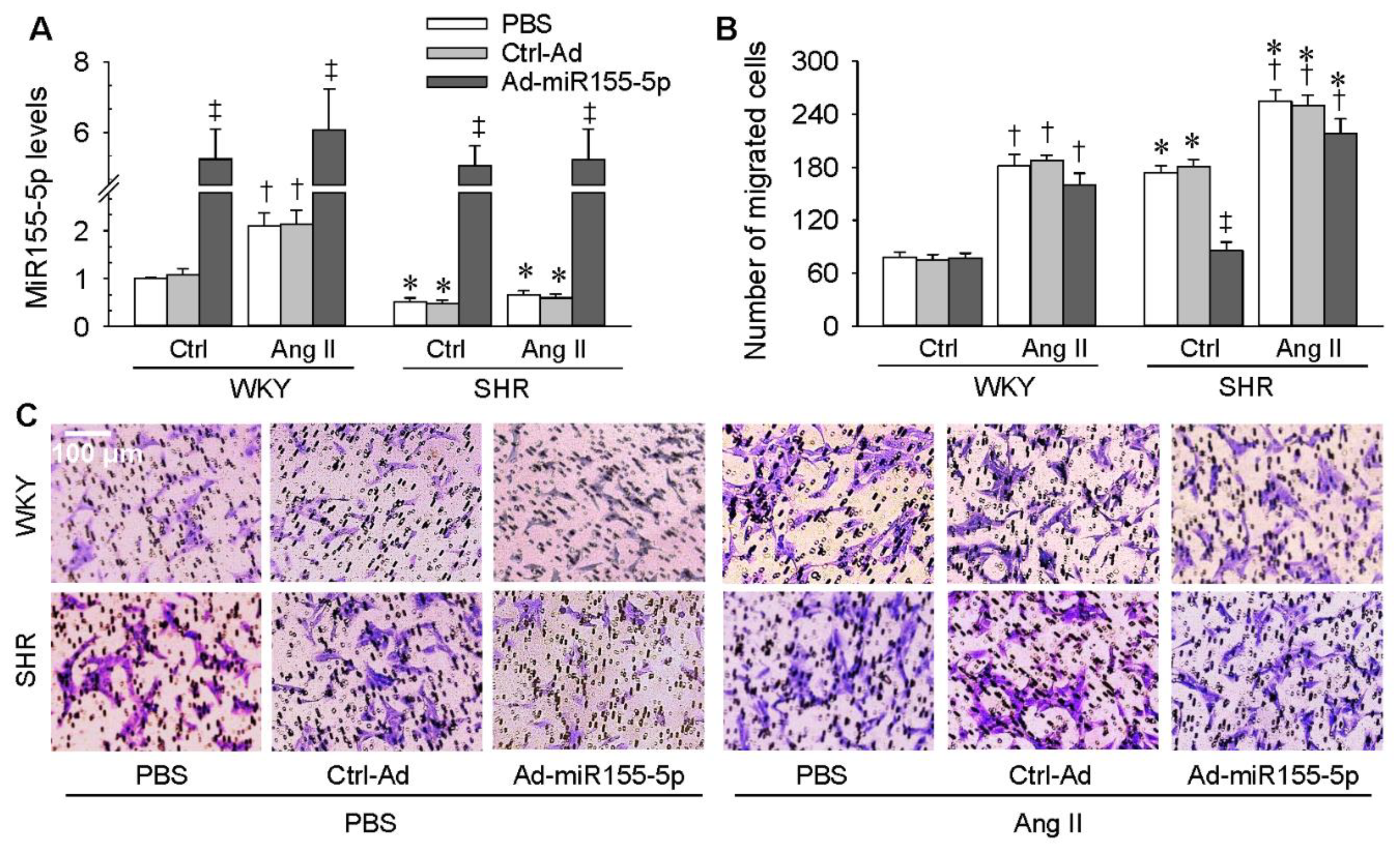 Antioxidants 09 00204 g006 Antioxidants 09 00204 g006