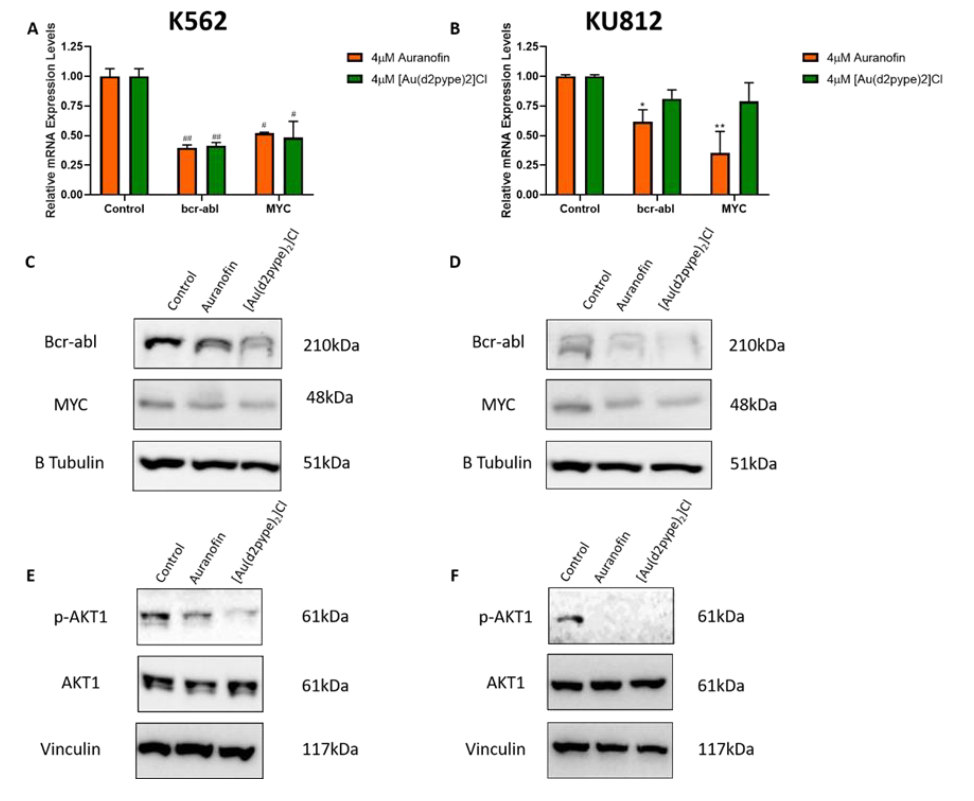 Antioxidants 09 00207 g003 Antioxidants 09 00207 g003