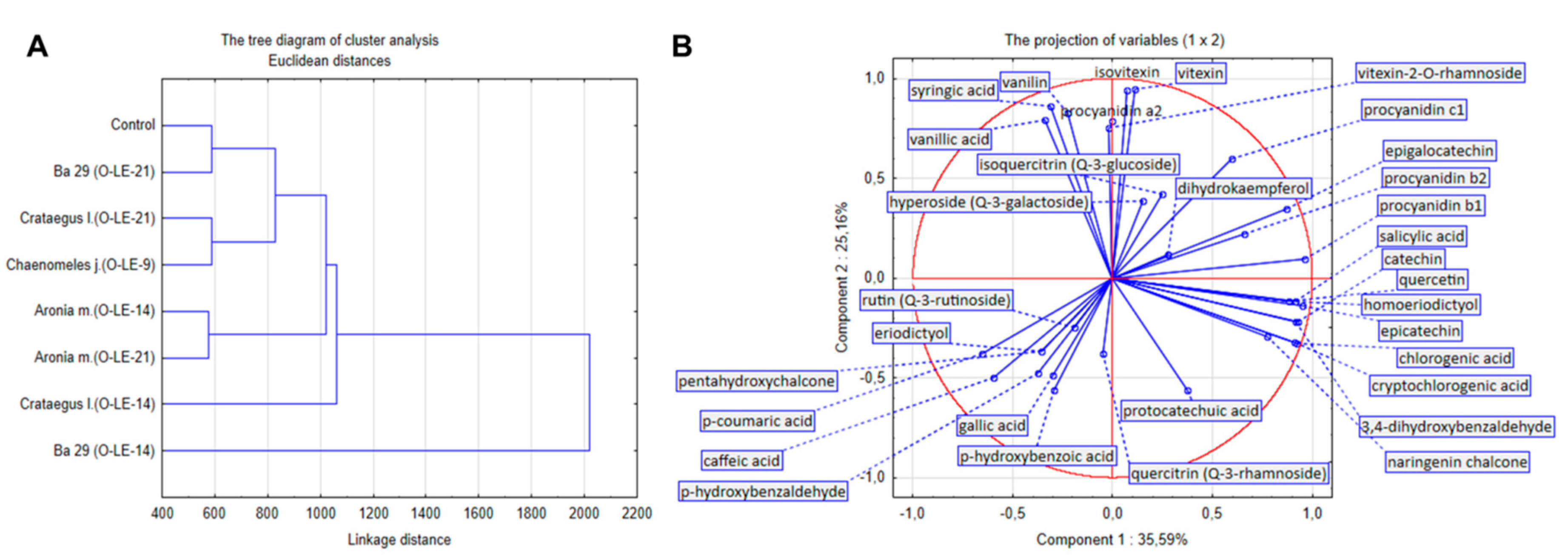 Antioxidants 09 00209 g004