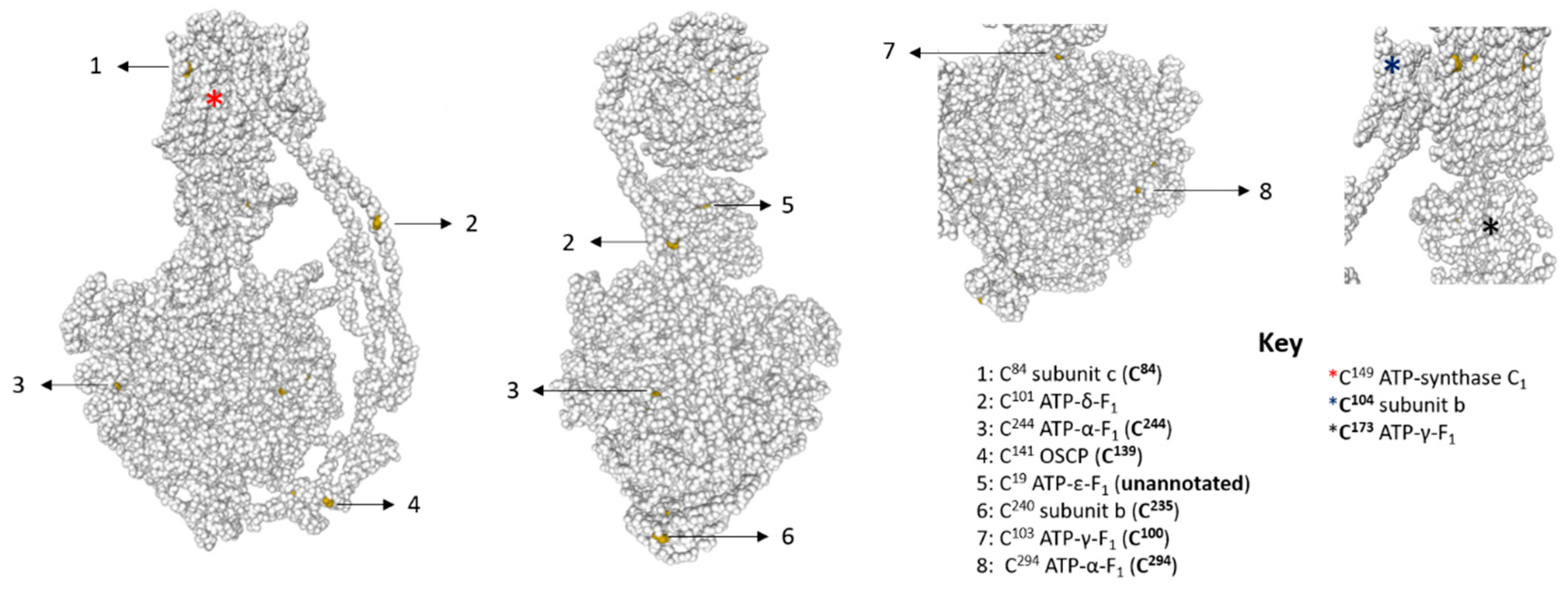 Antioxidants 09 00215 g002 Antioxidants 09 00215 g002