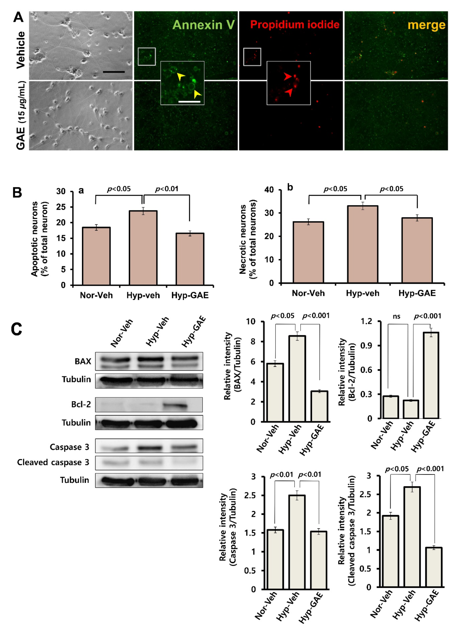 Antioxidants 09 00223 g003 Antioxidants 09 00223 g003