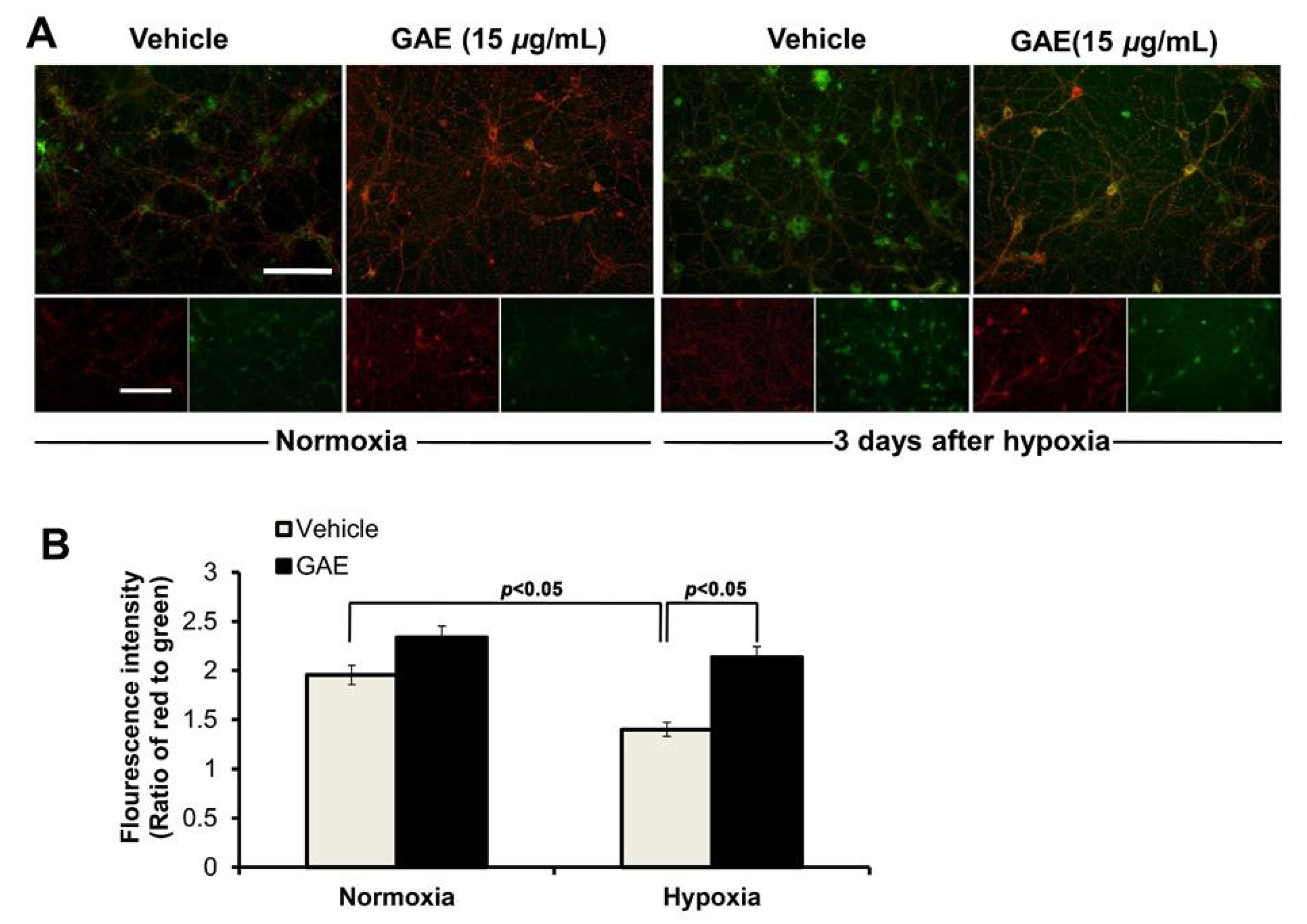 Antioxidants 09 00223 g006 Antioxidants 09 00223 g006