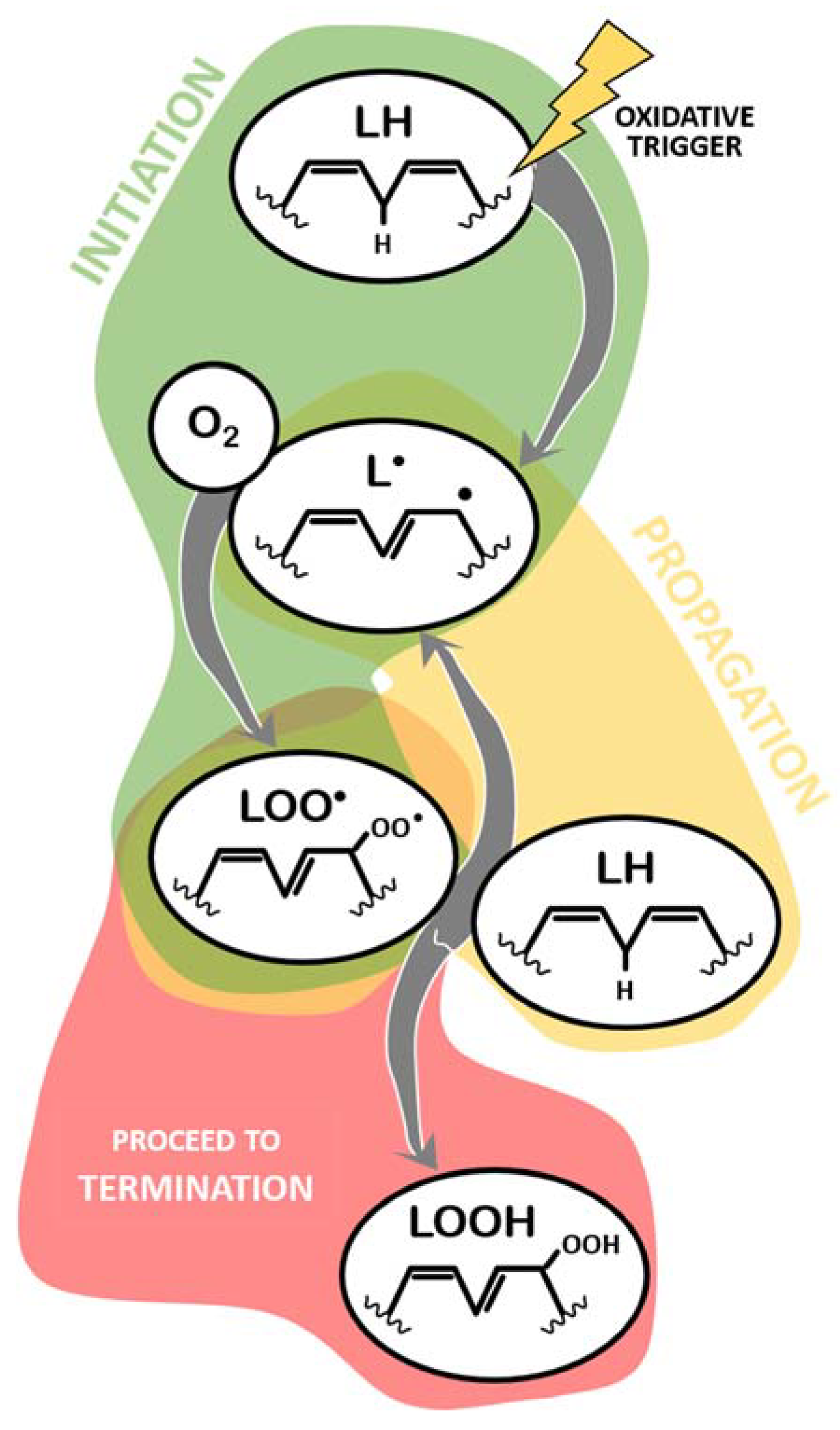 Antioxidants Free Full Text Evaluating The In Vitro Potential Of Natural Extracts To Protect Lipids From Oxidative Damage Html