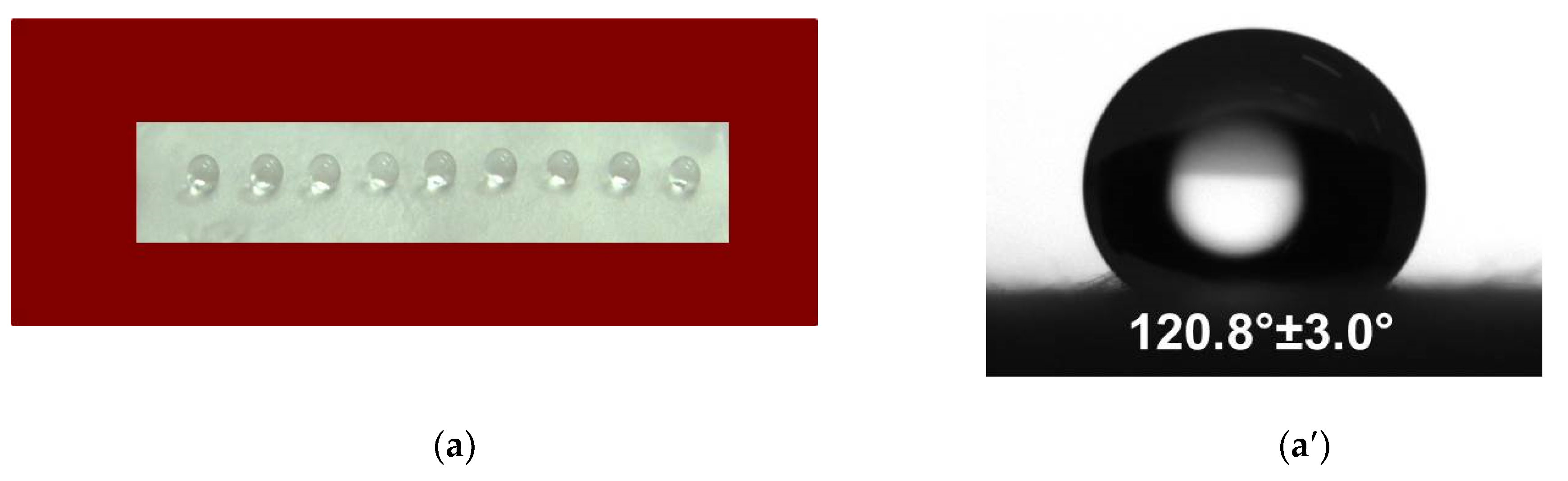 Antioxidants 09 00232 g003a