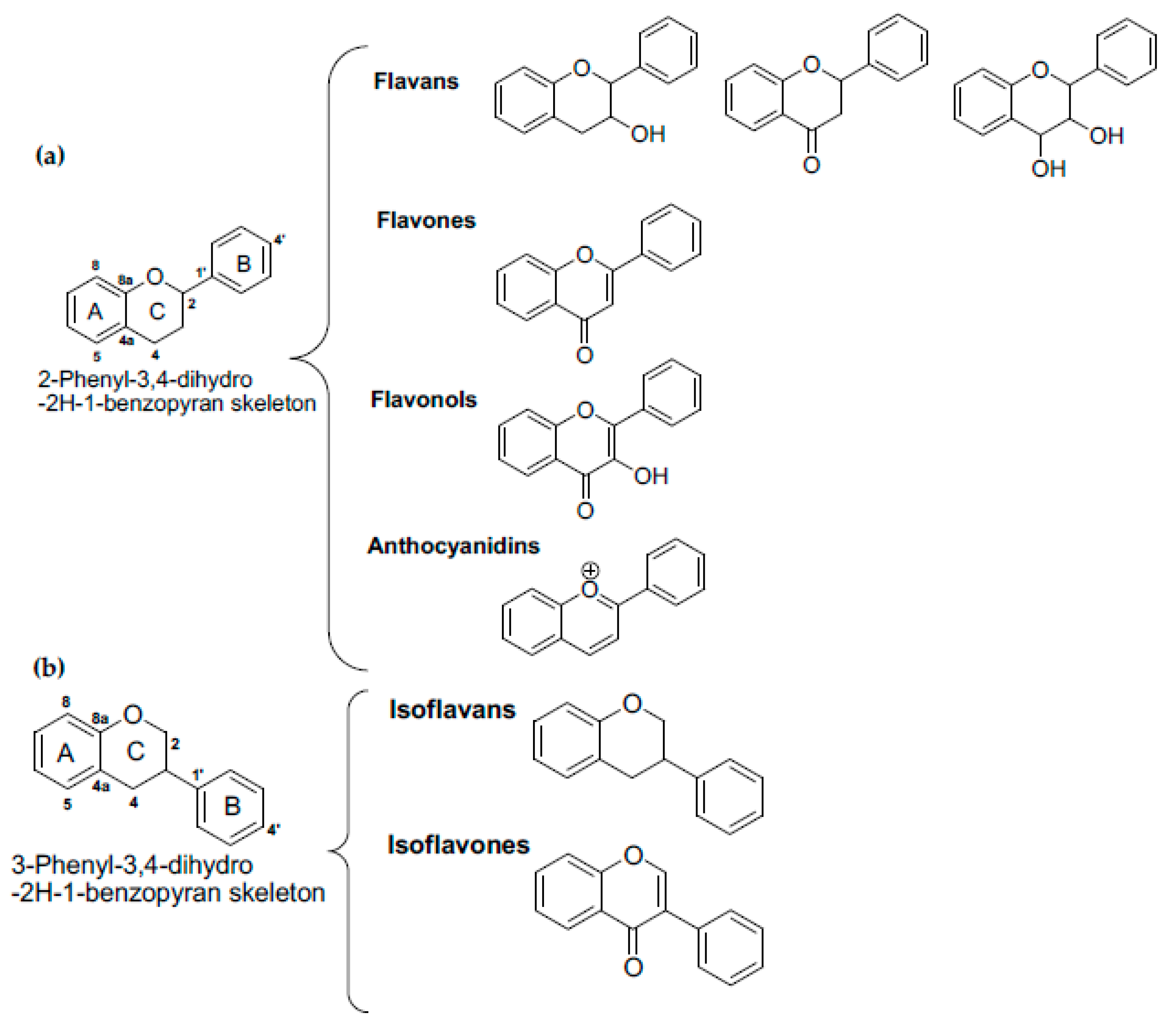 Antioxidants 09 00237 g002 Antioxidants 09 00237 g002