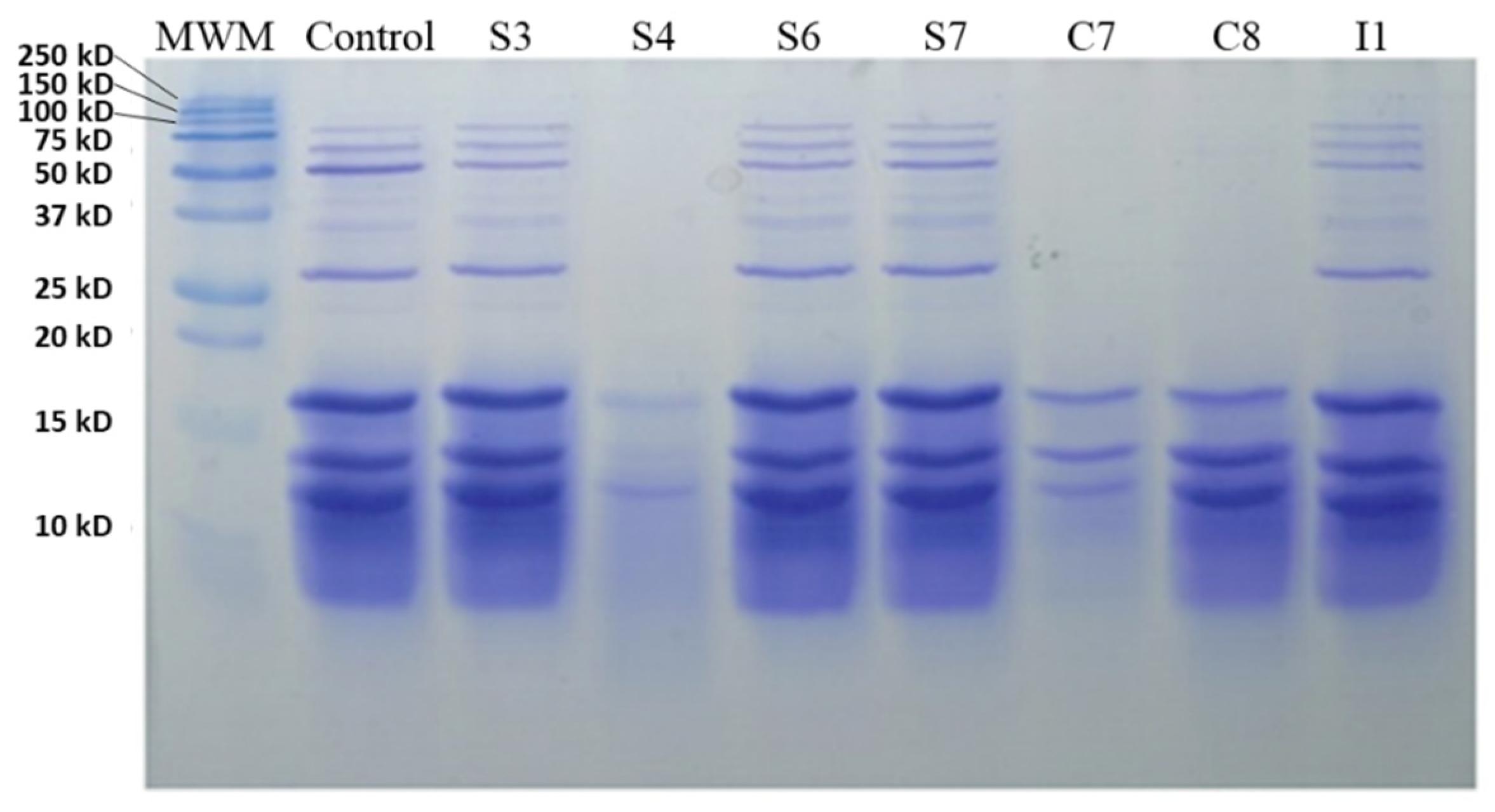 Antioxidants 09 00239 g002