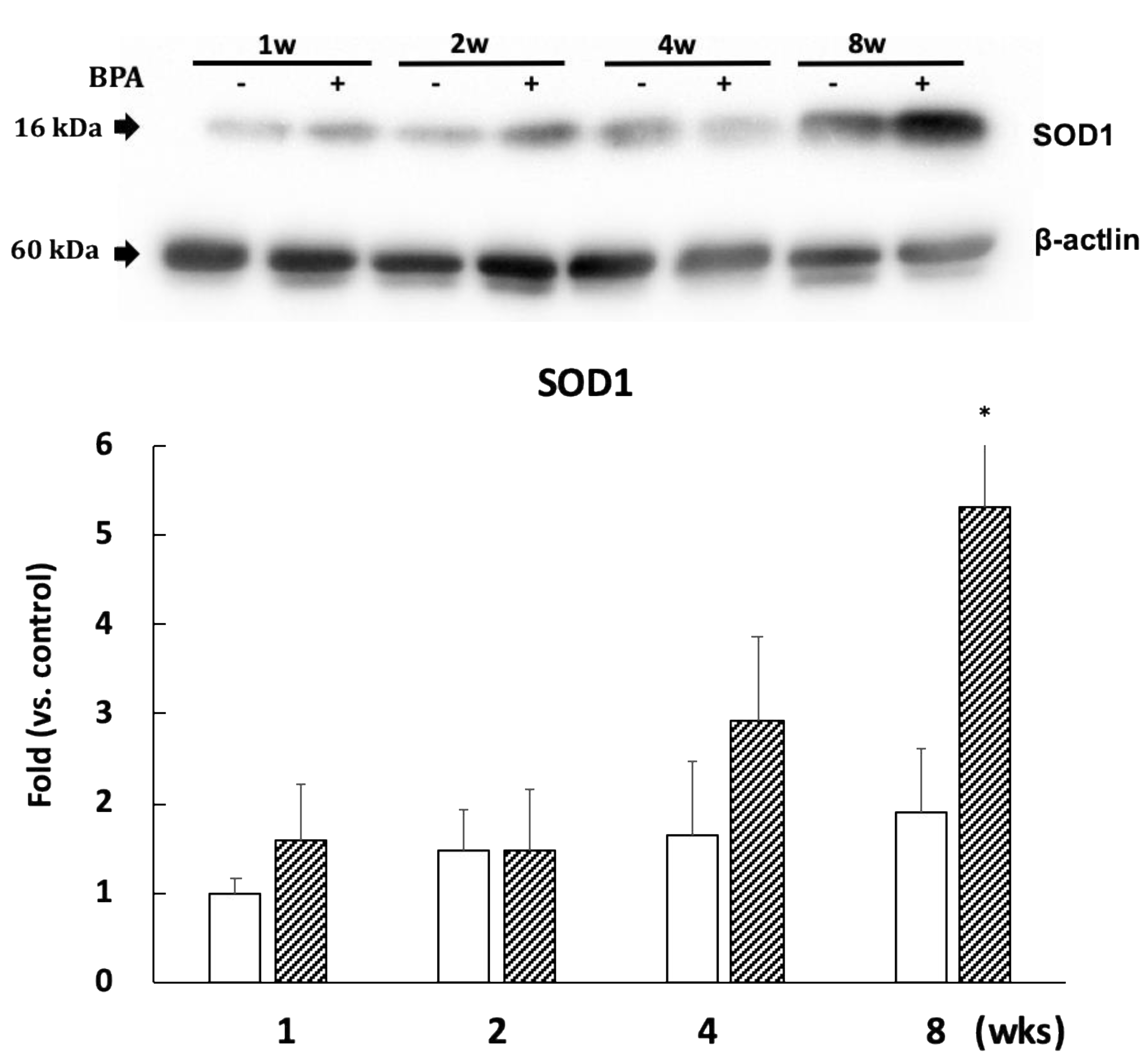 Antioxidants 09 00240 g006 Antioxidants 09 00240 g006