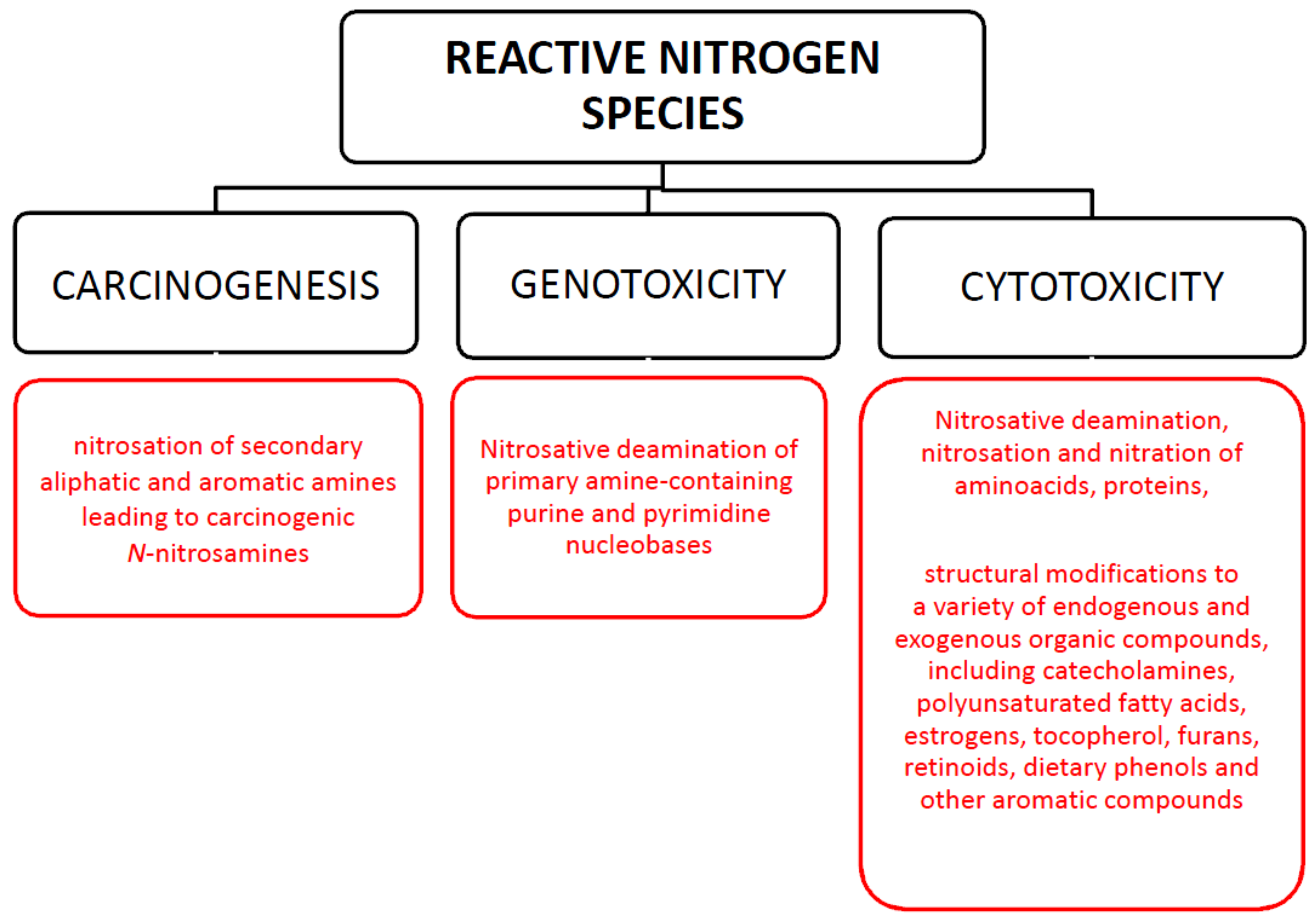 Antioxidants 09 00241 g003 Antioxidants 09 00241 g003