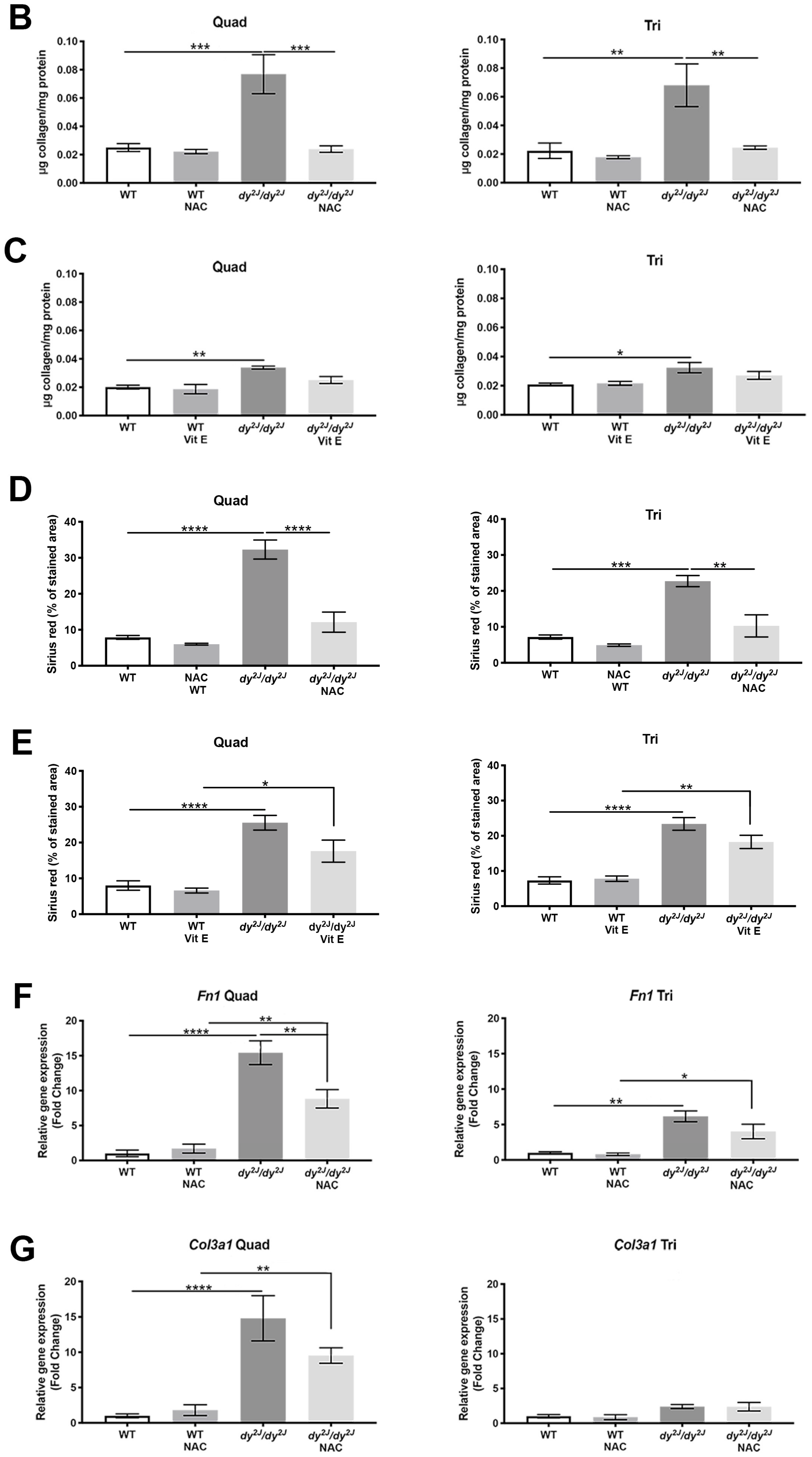Antioxidants 09 00244 g004b Antioxidants 09 00244 g004b