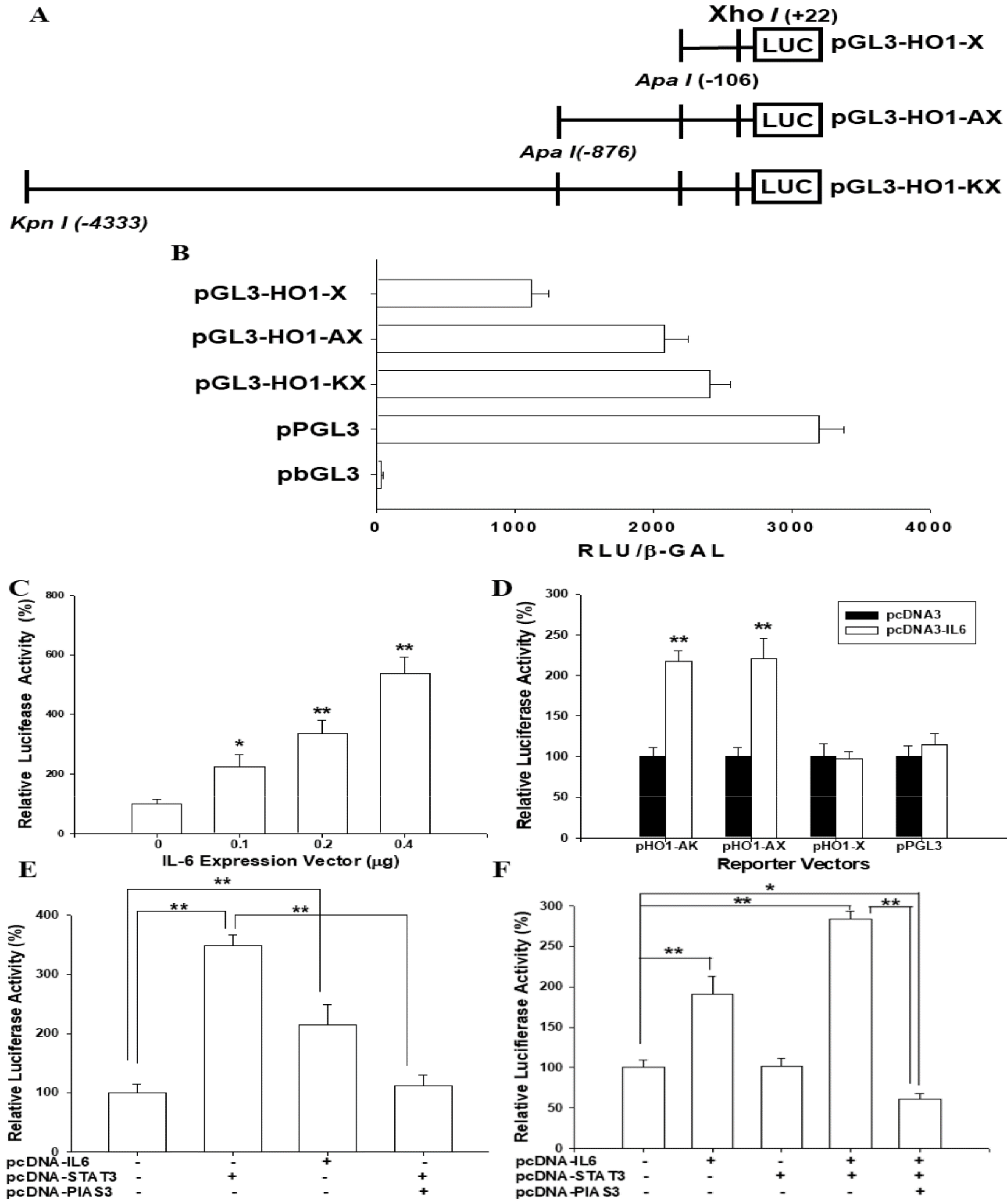 Antioxidants 09 00251 g005