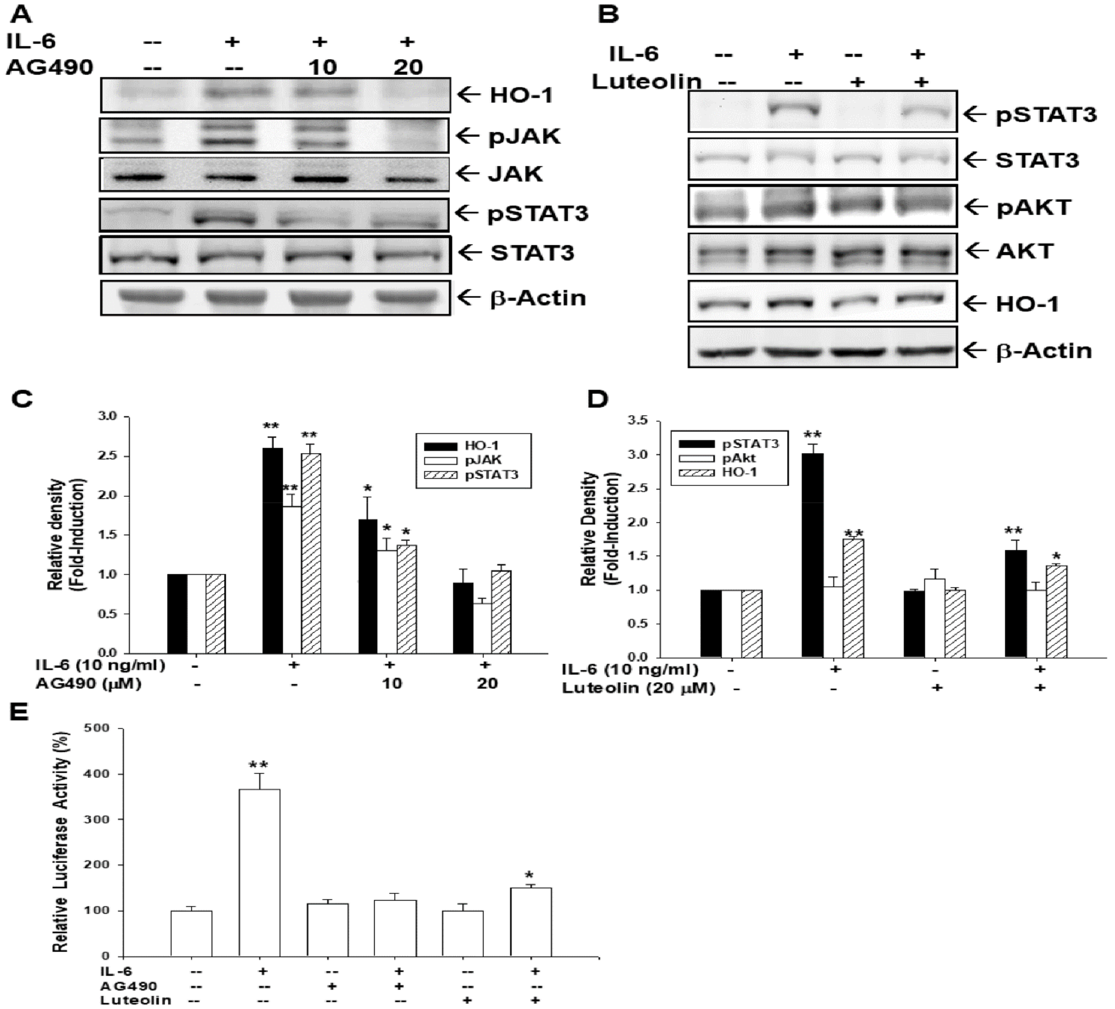 Antioxidants 09 00251 g007