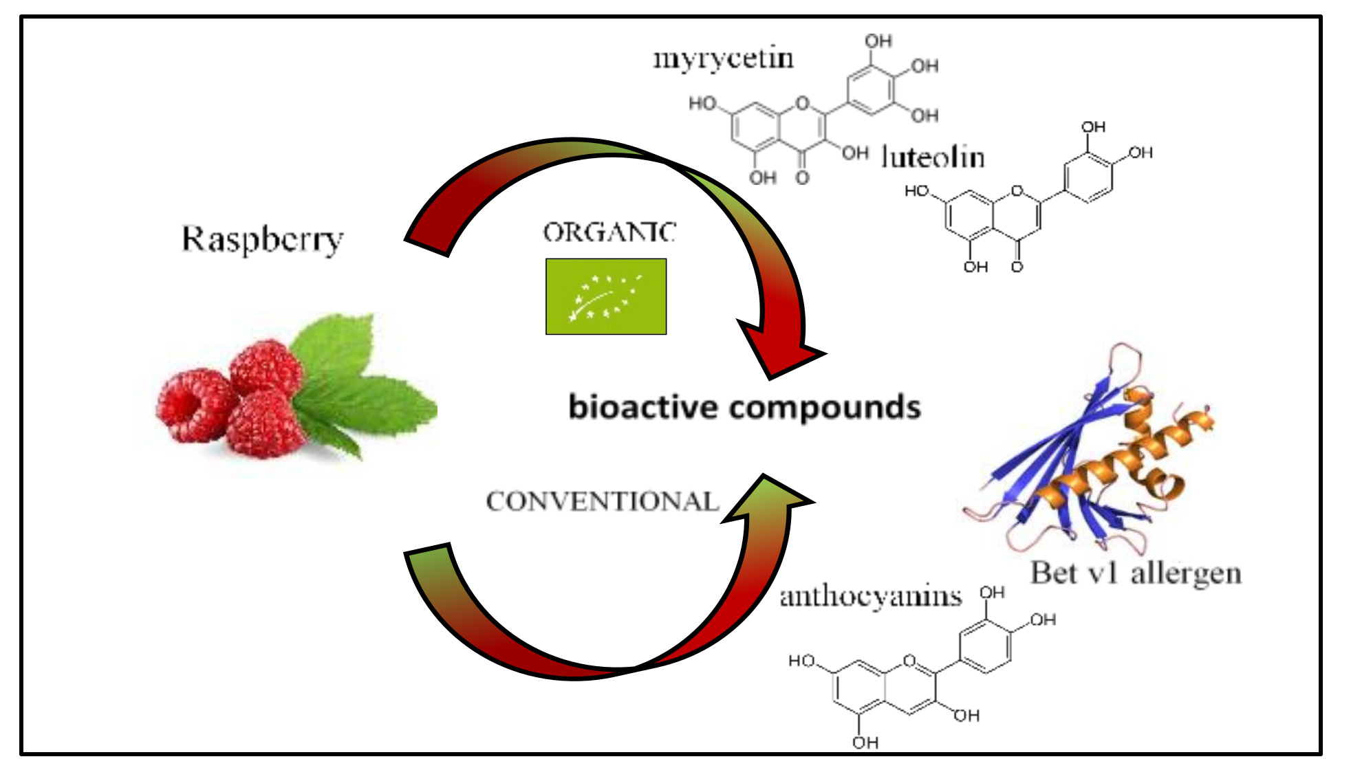 Antioxidants Free FullText The Interaction between Antioxidants