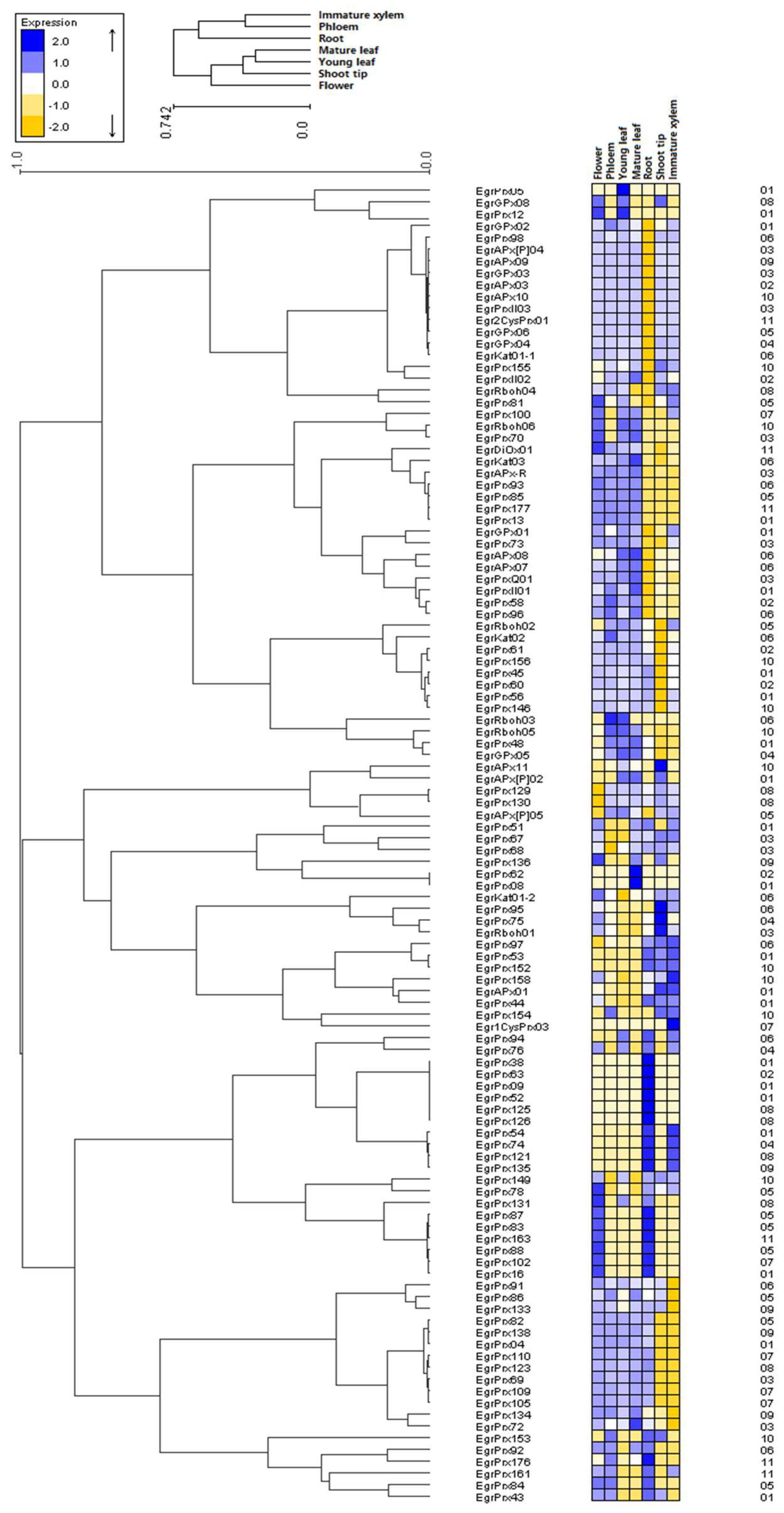 Antioxidants 09 00257 g007 Antioxidants 09 00257 g007
