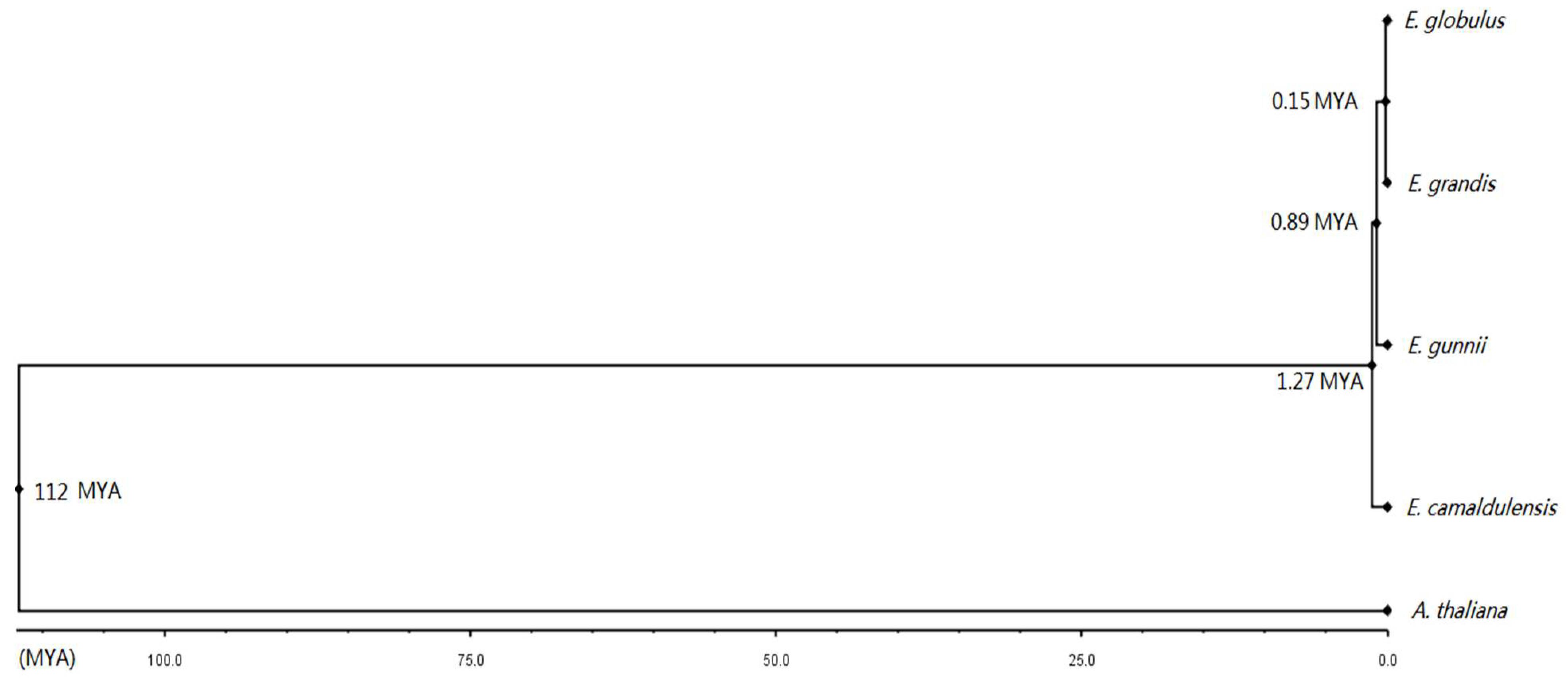 Antioxidants 09 00257 g008 Antioxidants 09 00257 g008
