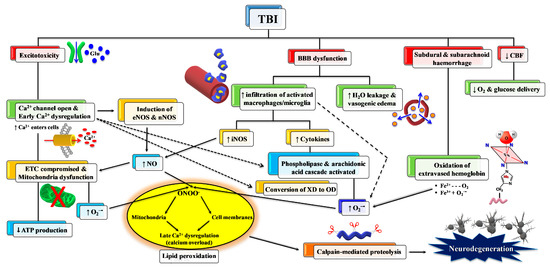 Antioxidant Therapies in Traumatic Brain Injury
