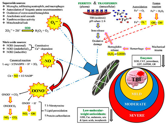 Antioxidants 09 00260 g005 550