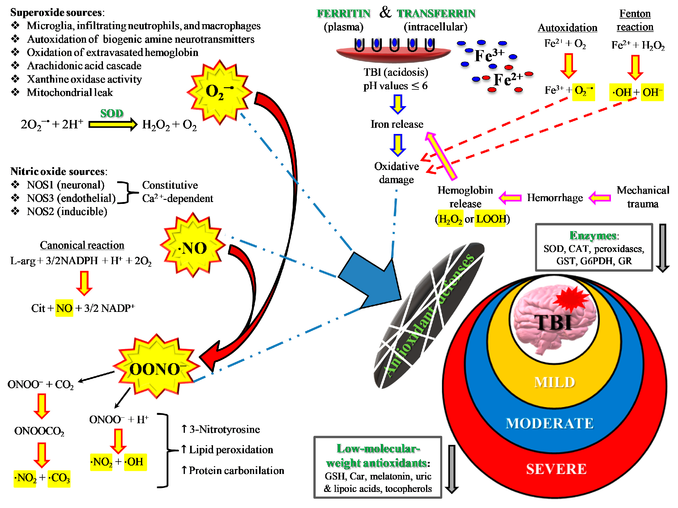 Antioxidants 09 00260 g005