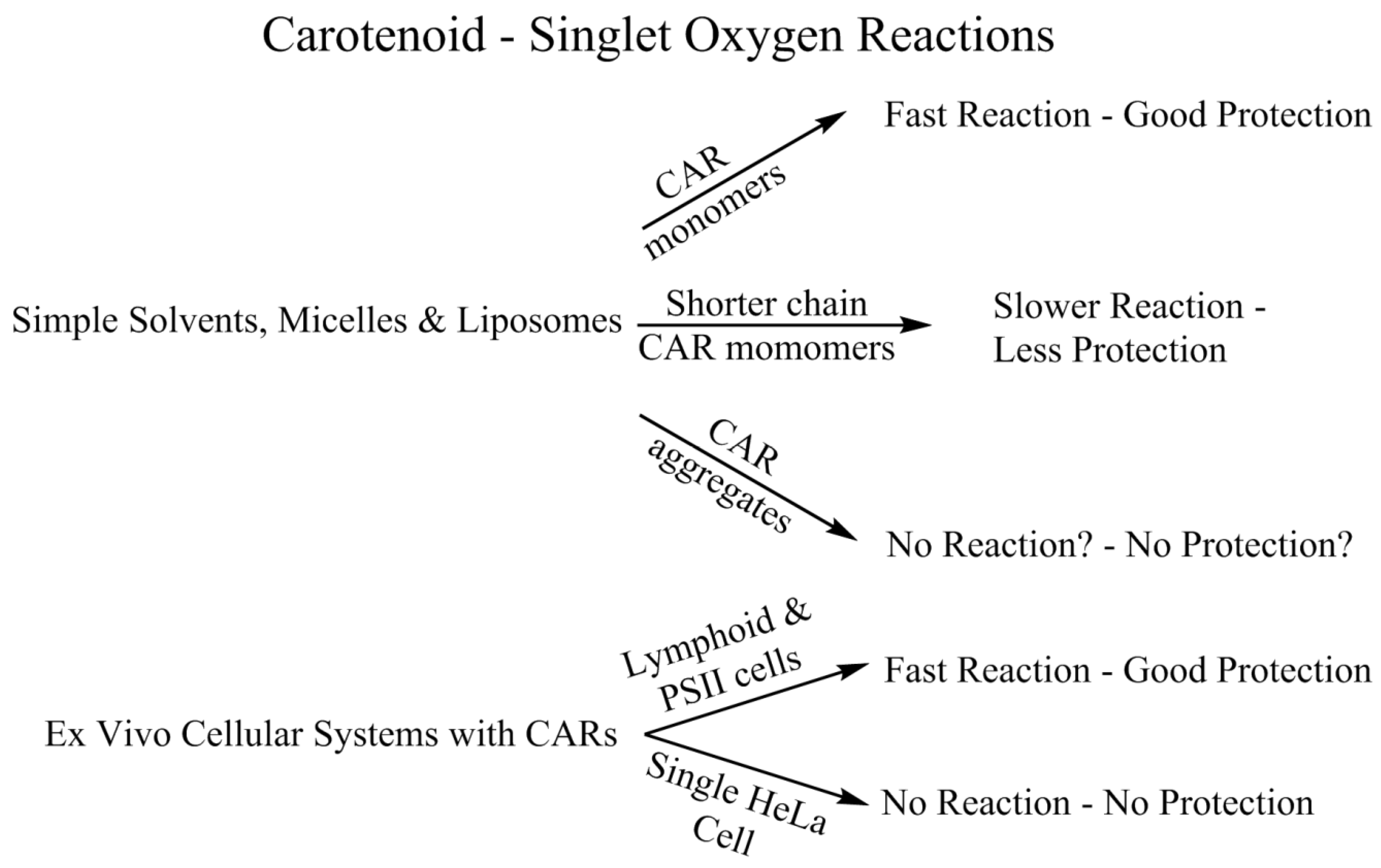 Antioxidants 09 00264 g005 Antioxidants 09 00264 g005
