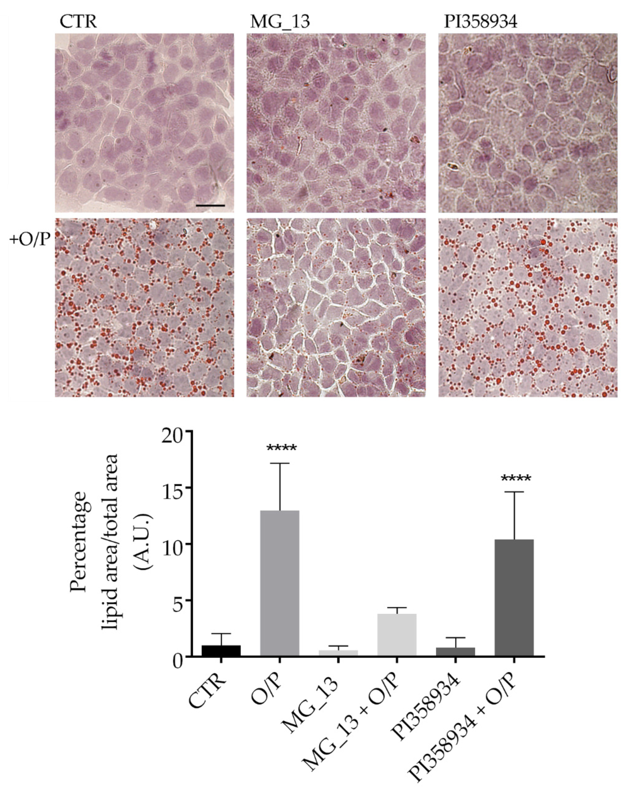 Antioxidants 09 00268 g003 Antioxidants 09 00268 g003