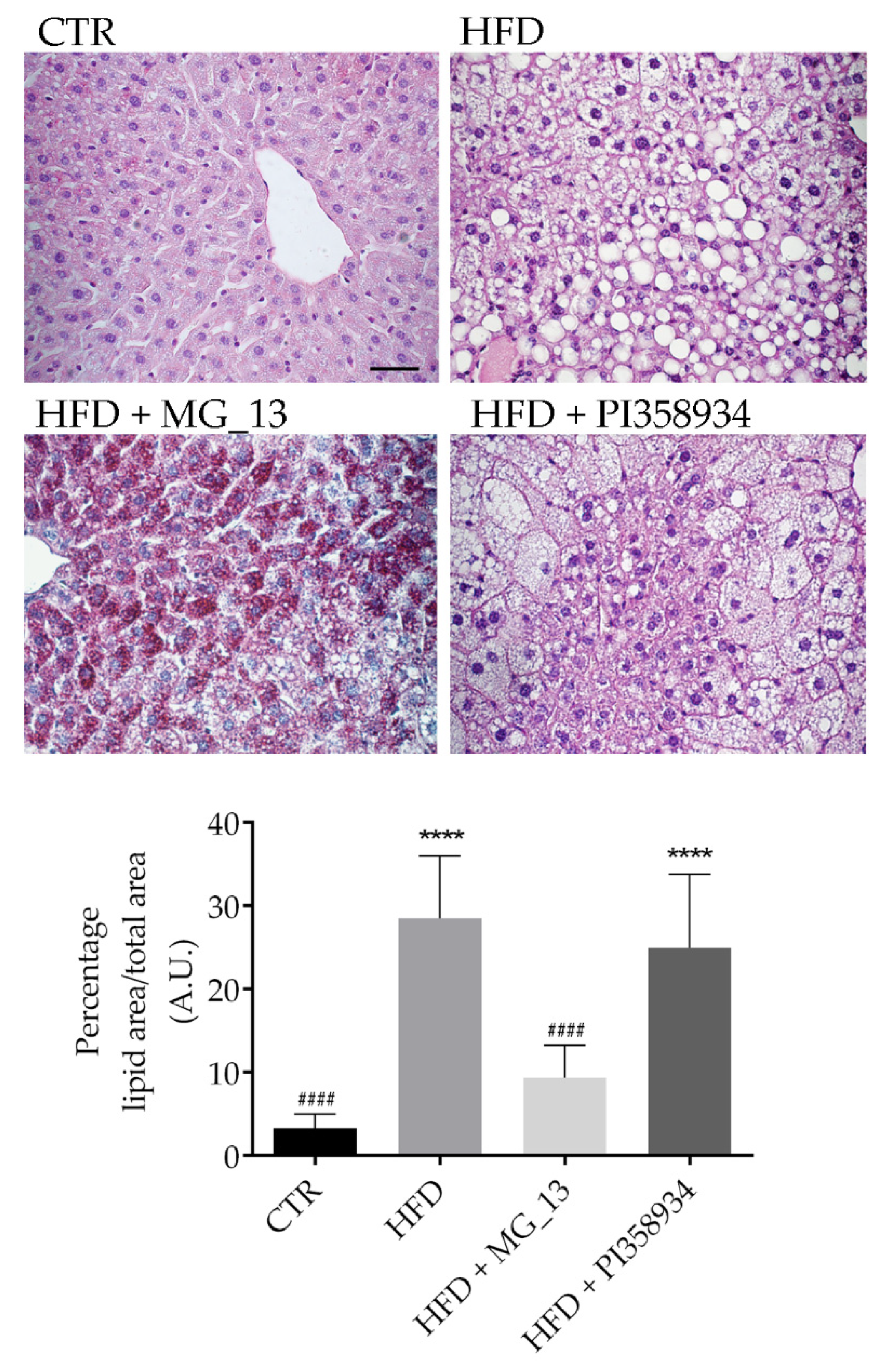 Antioxidants 09 00268 g005 Antioxidants 09 00268 g005